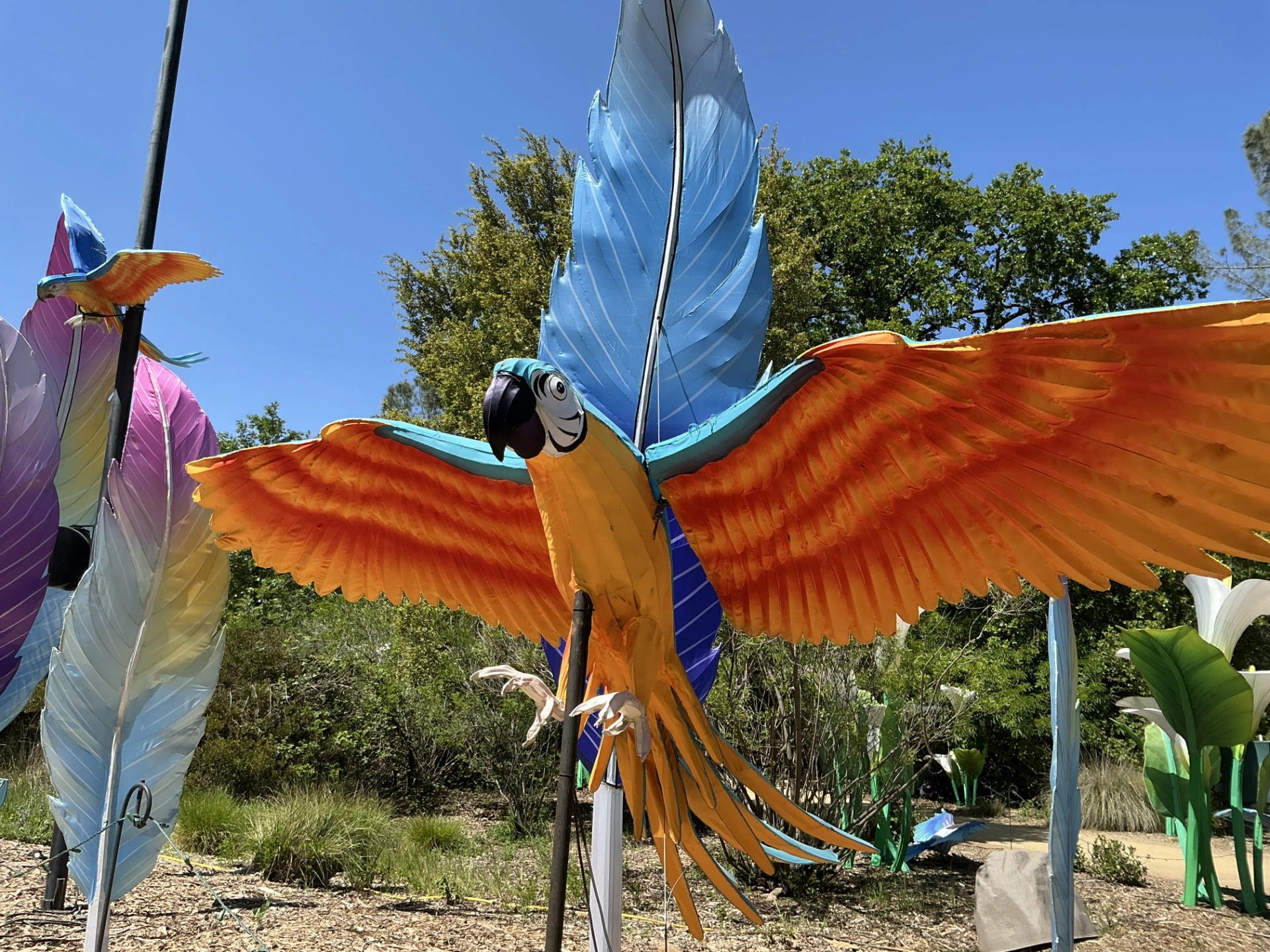 parrot sculpture