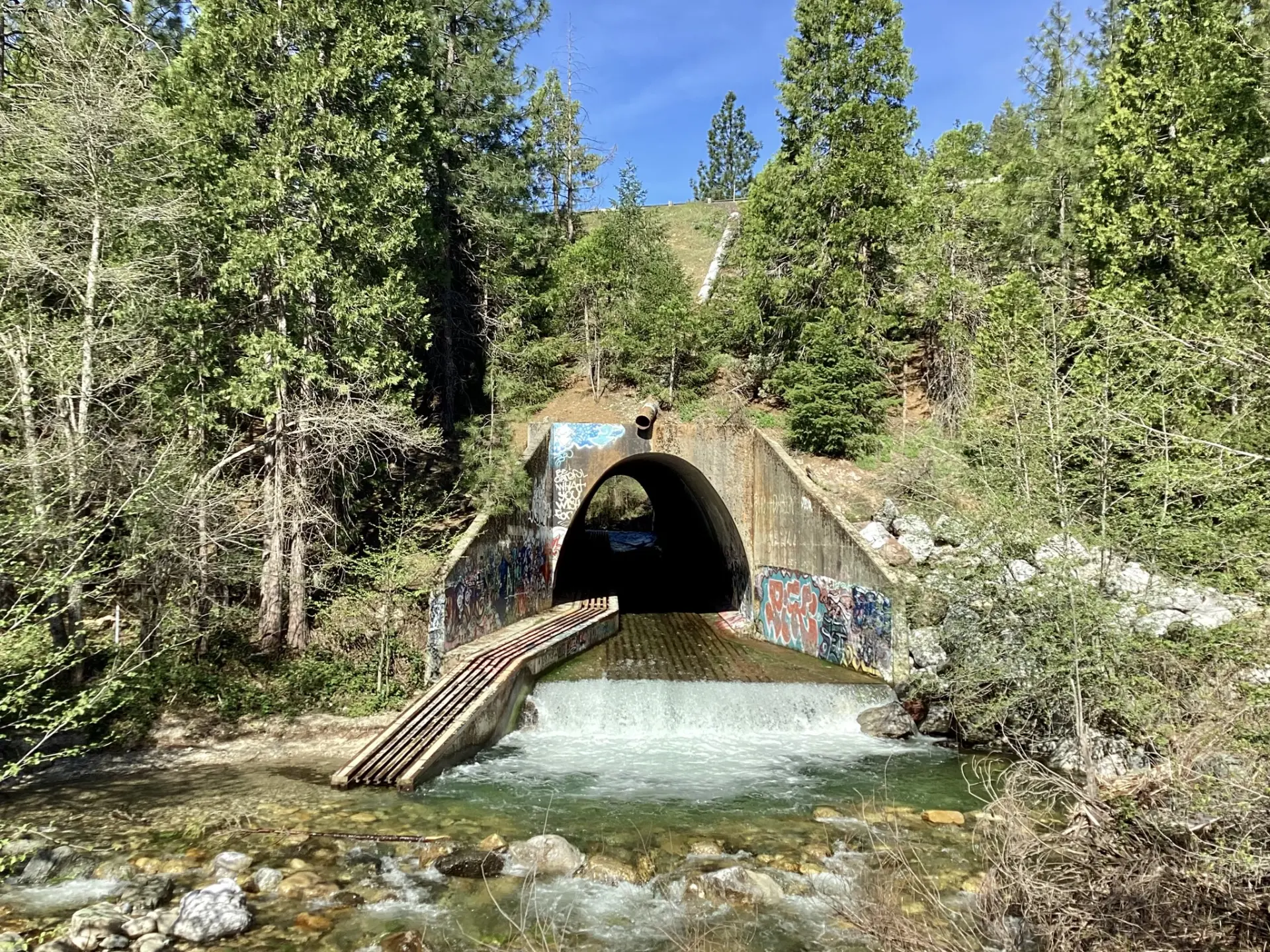 stream pouring through tunnel under I-5