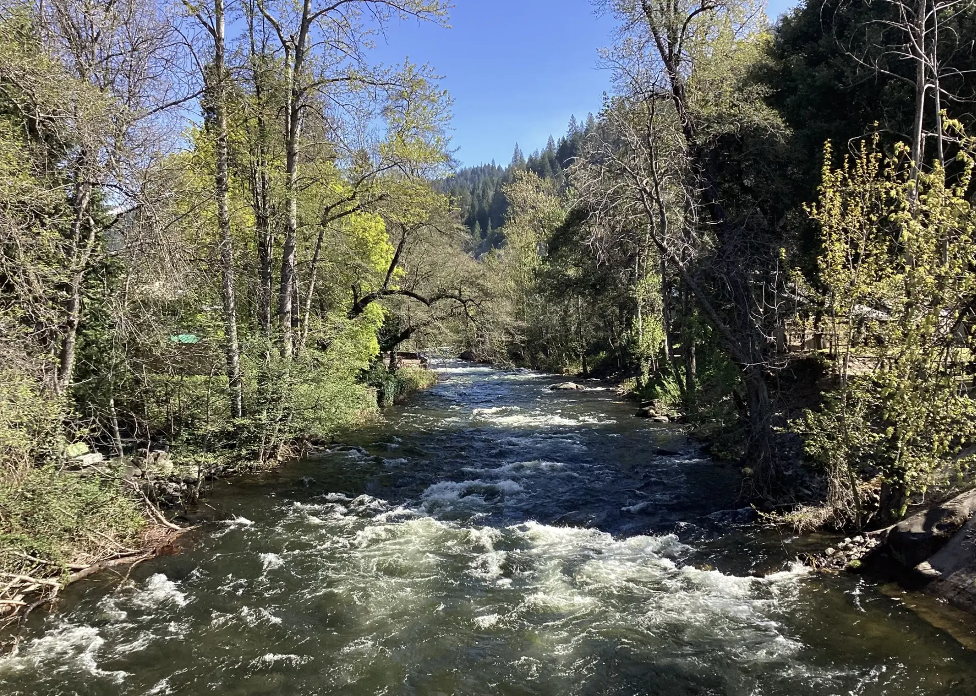 stream pouring through tunnel under I-5