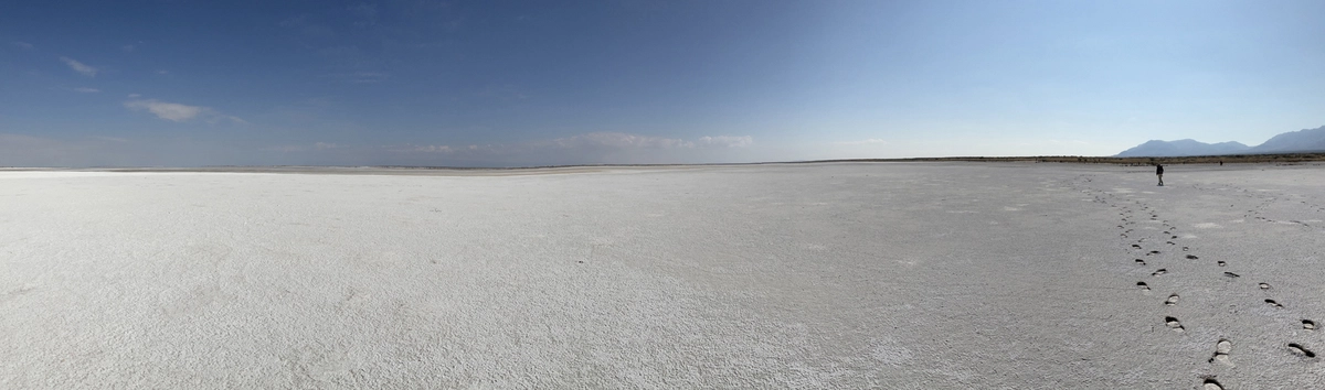 white sands