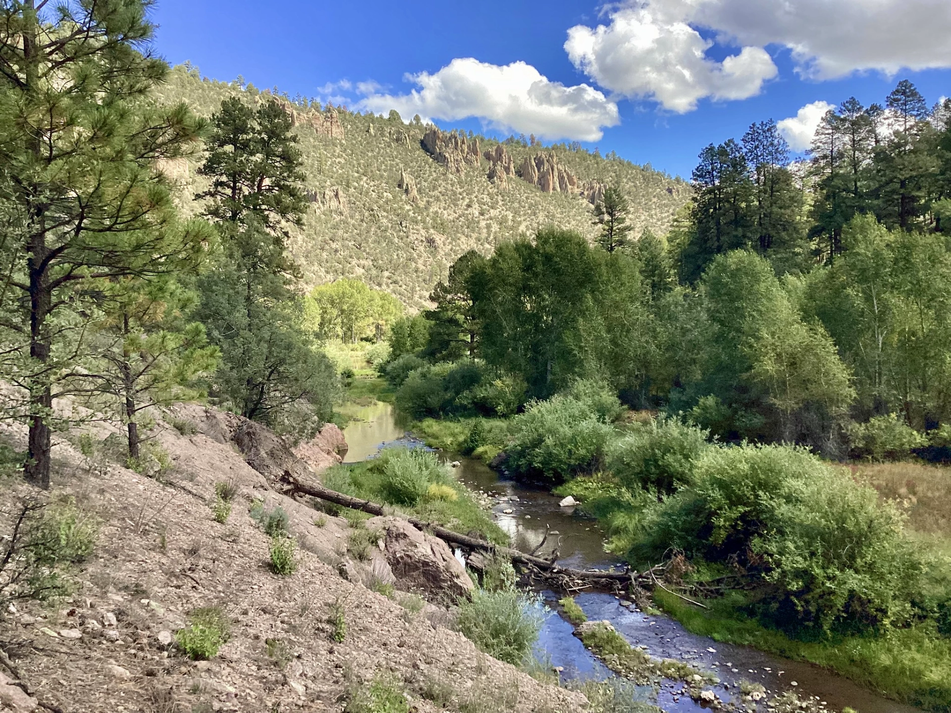 view downstream