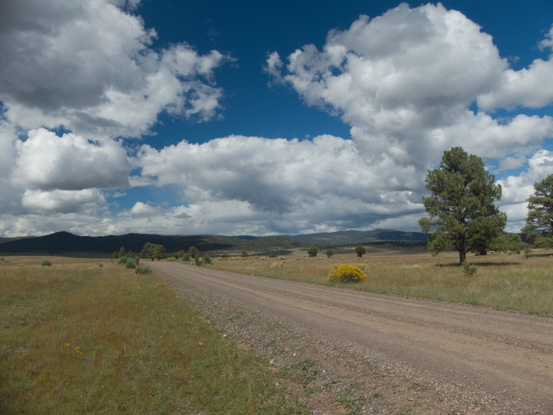 Plains of San Agustin