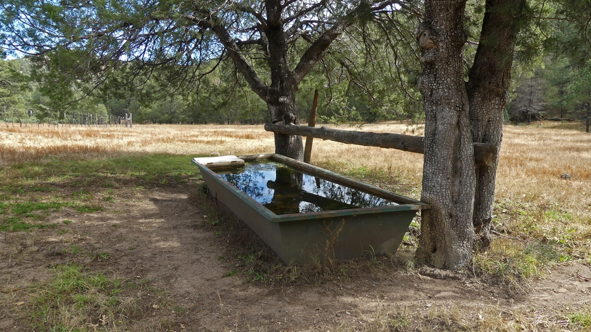 stock tank