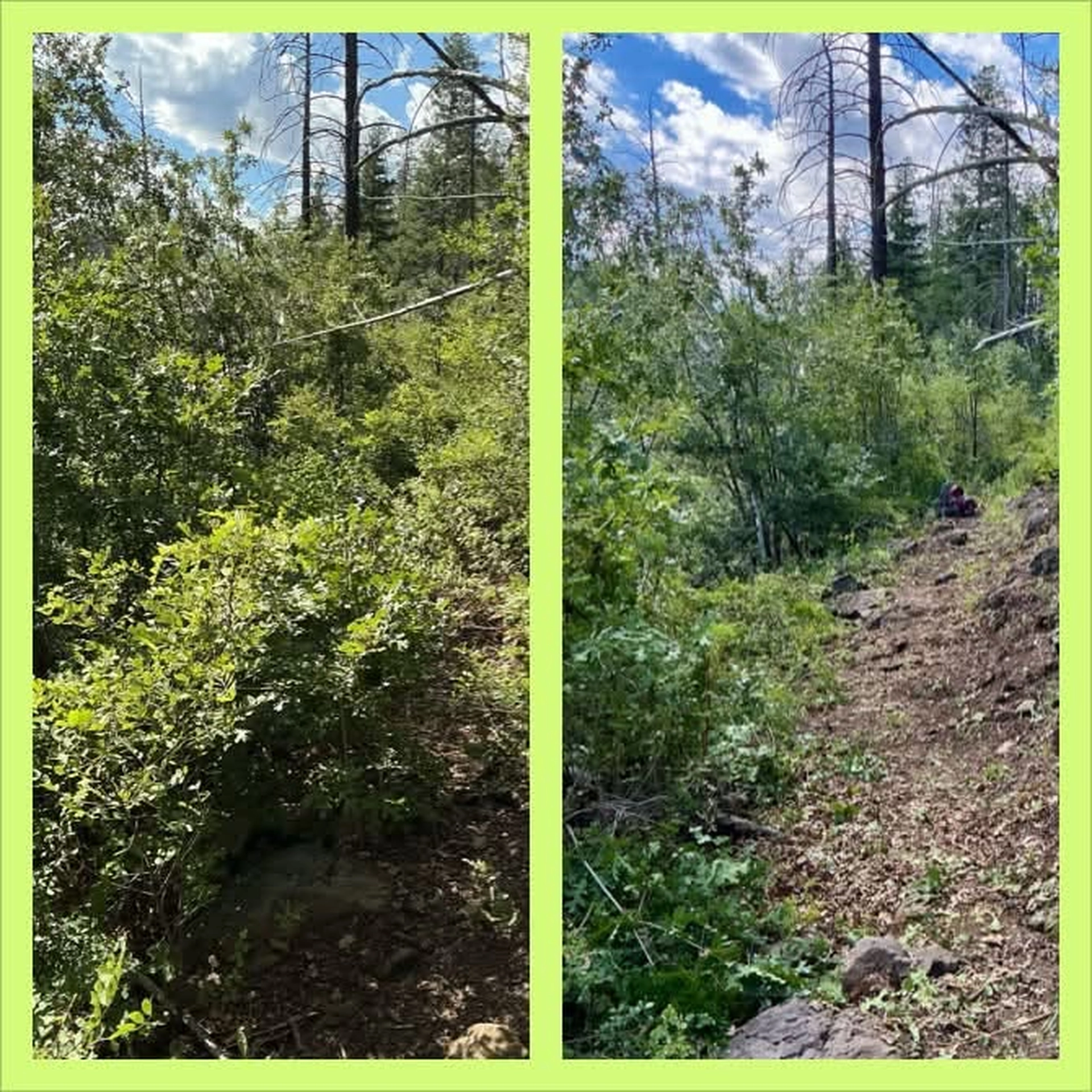 before and after photos of the trail
