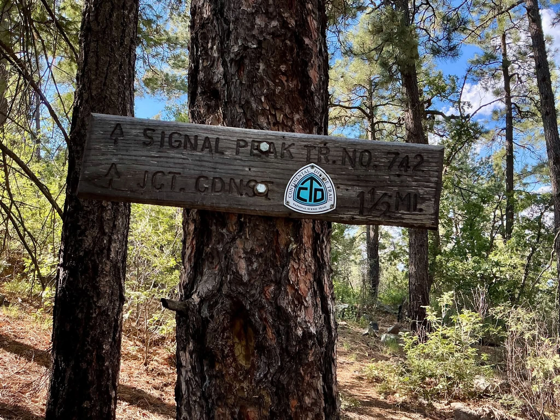 CDT trail sign