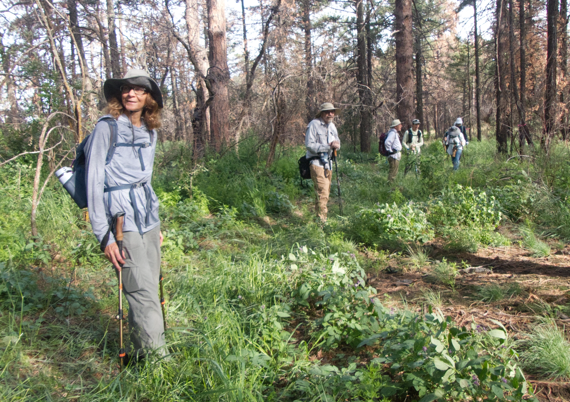 hikers in tall grass on the trail from Signal Peak to Black Peak