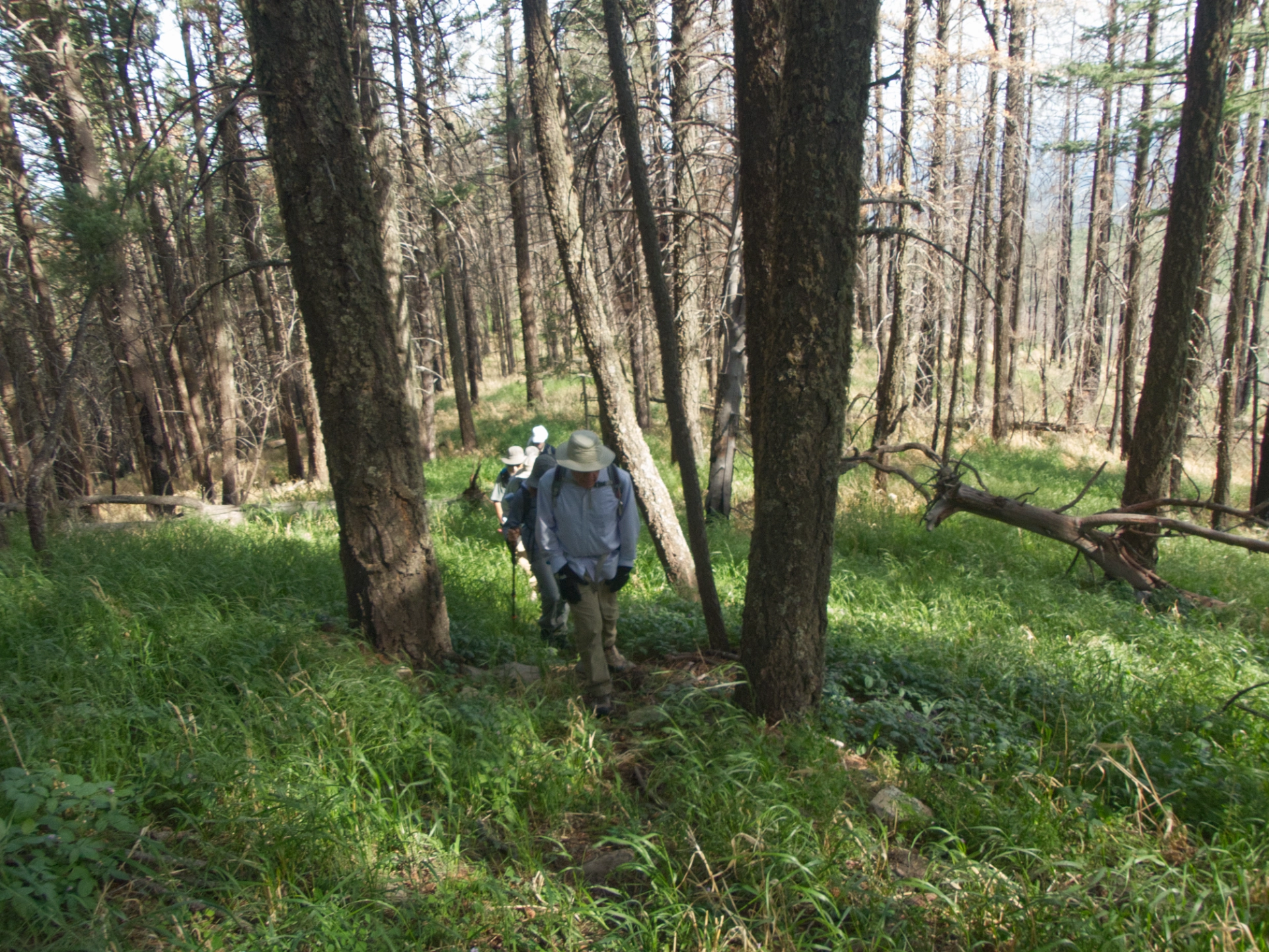 before and after photos of the trail