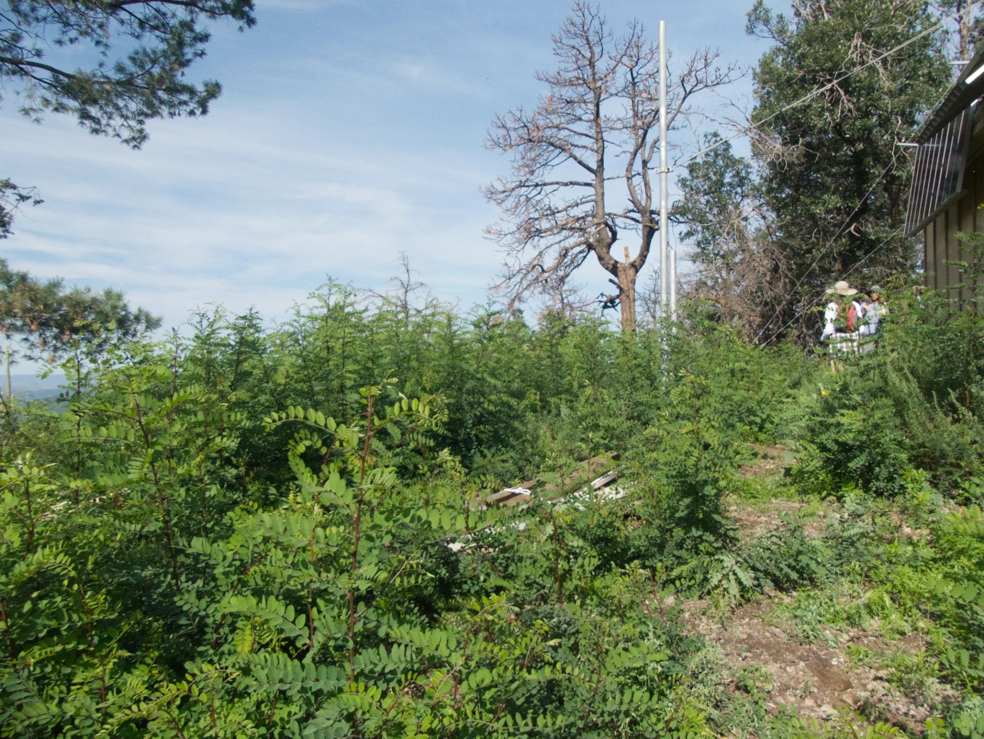 steep approach to Black Peak