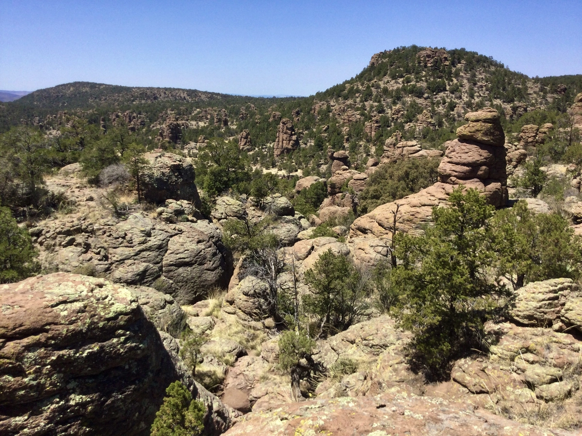 overlooking a side canyon filled with hoodoos