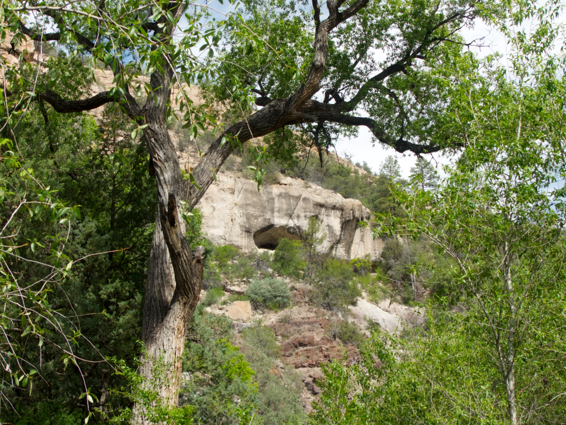 cliff dwelling
