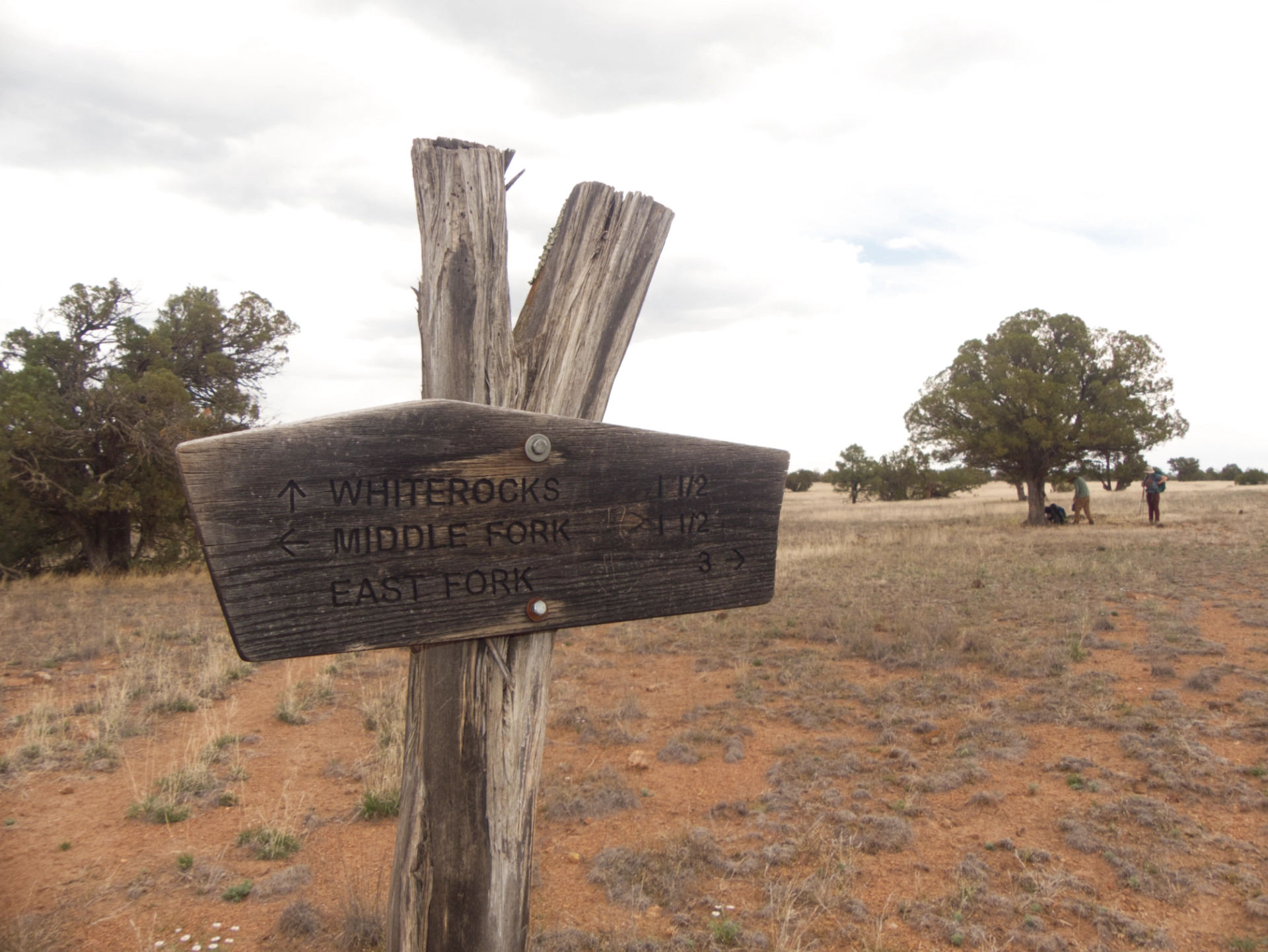 White Rocks trail sign and hikers under a juniper