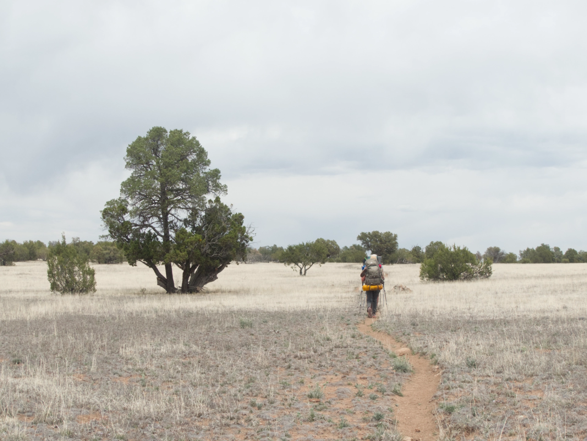 crossing a high and almost treeless mesa