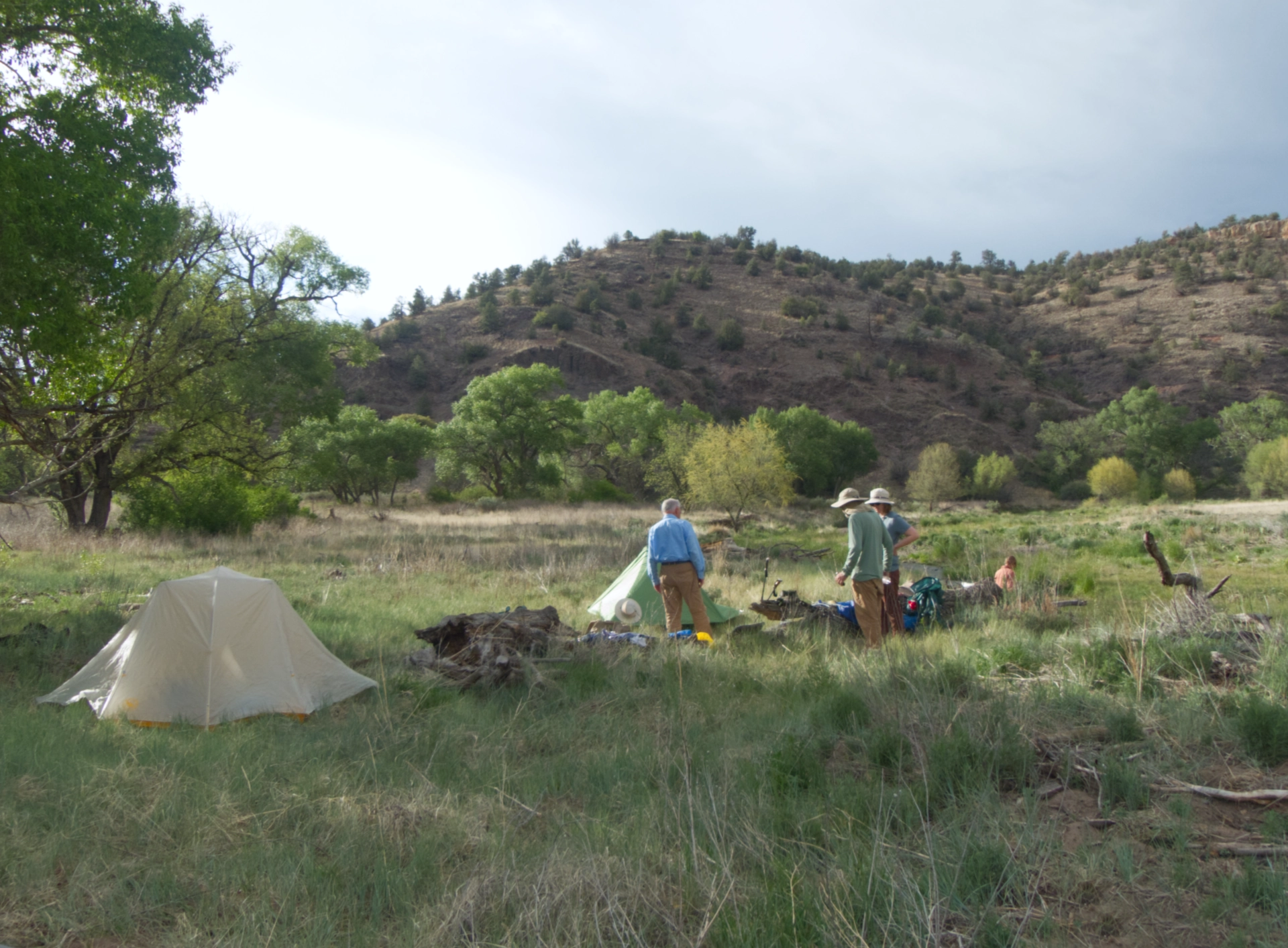campsite along the East Fork Gila River