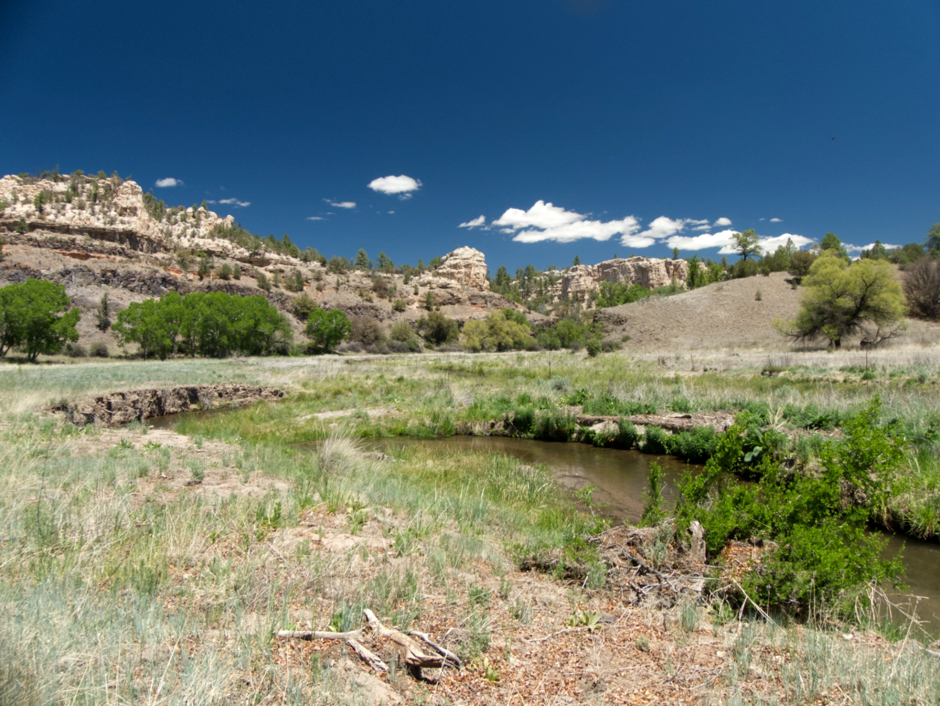 East Fork Gila River