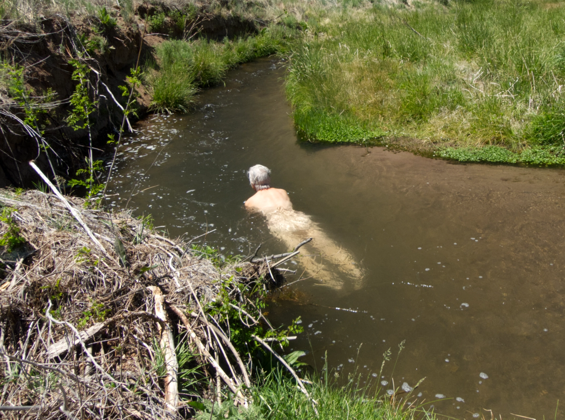 swimming hole