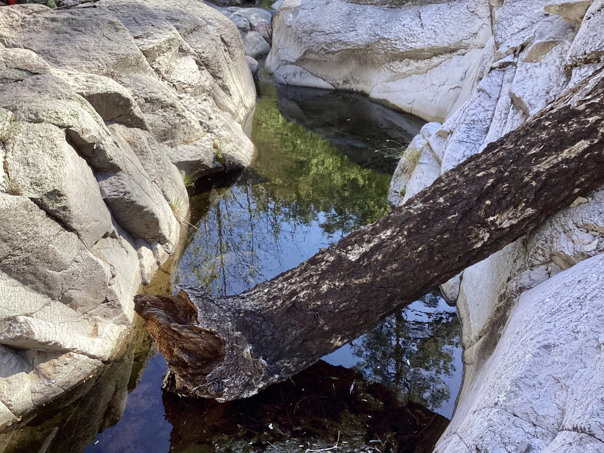 swimming hole