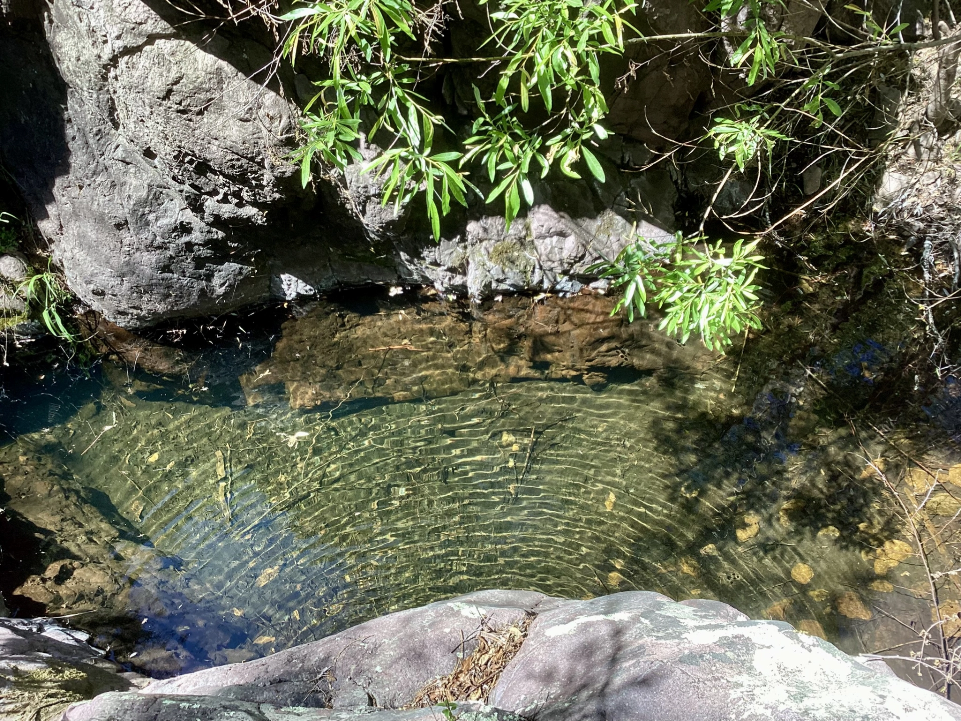 crystal clear swimming hole