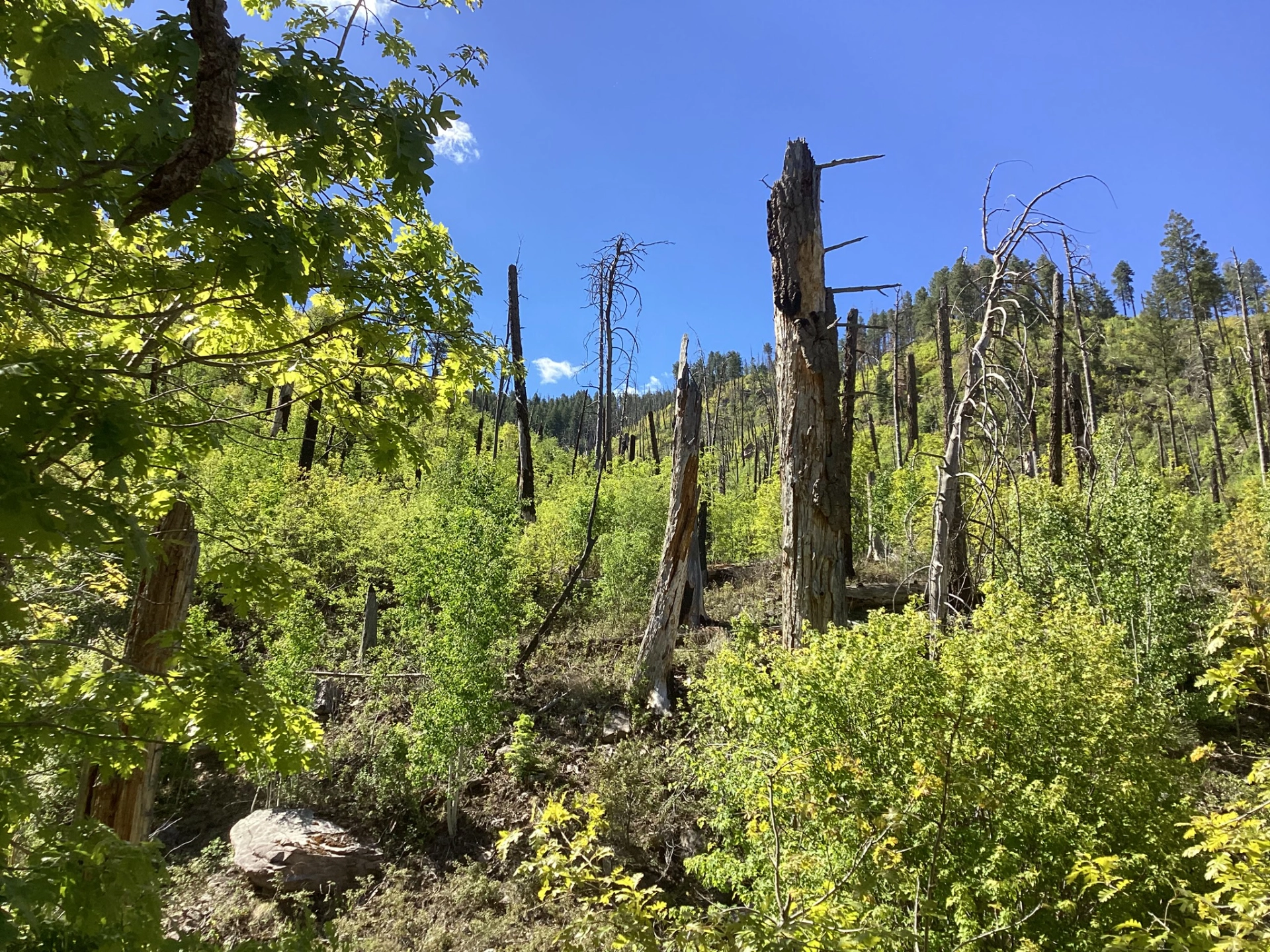 East Railroad Canyon