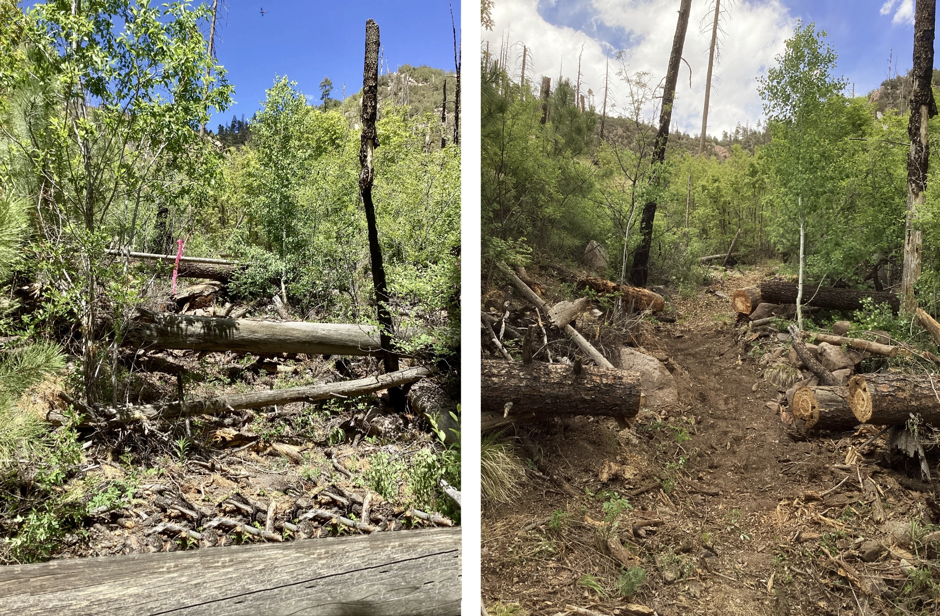 trail completely transformed