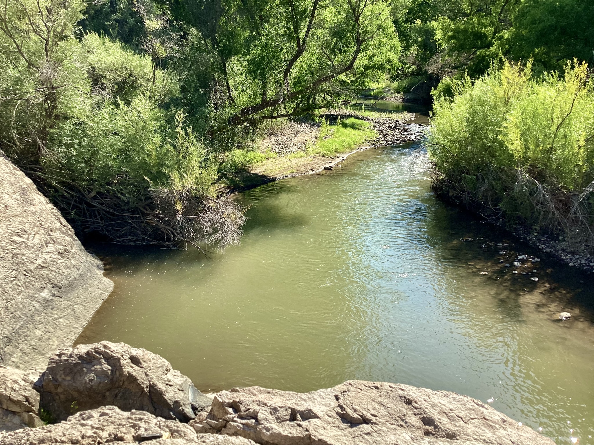 the old swimming hole