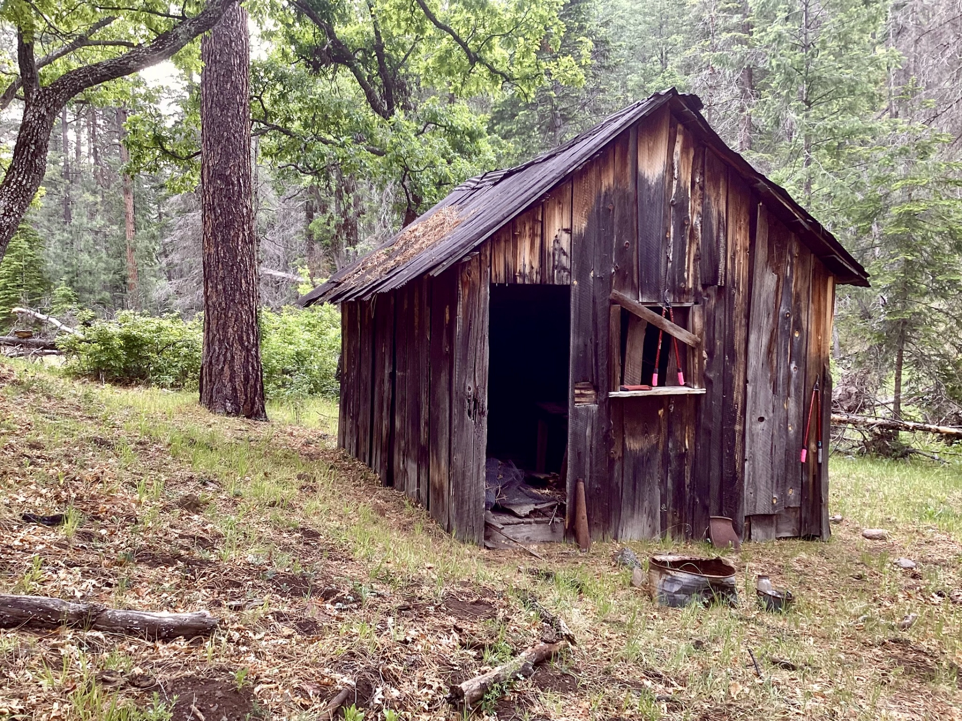 cabin in McKnight Canyon