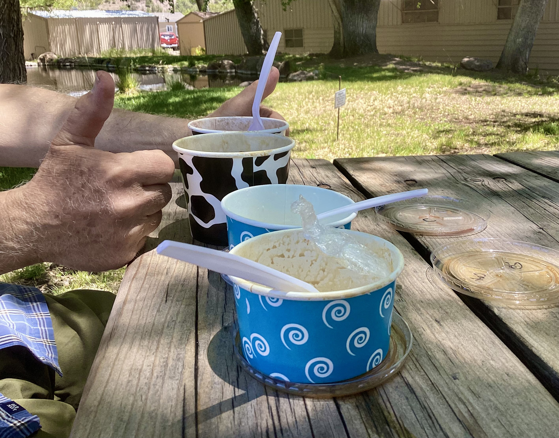 dishes of ice cream on a picnic tabld