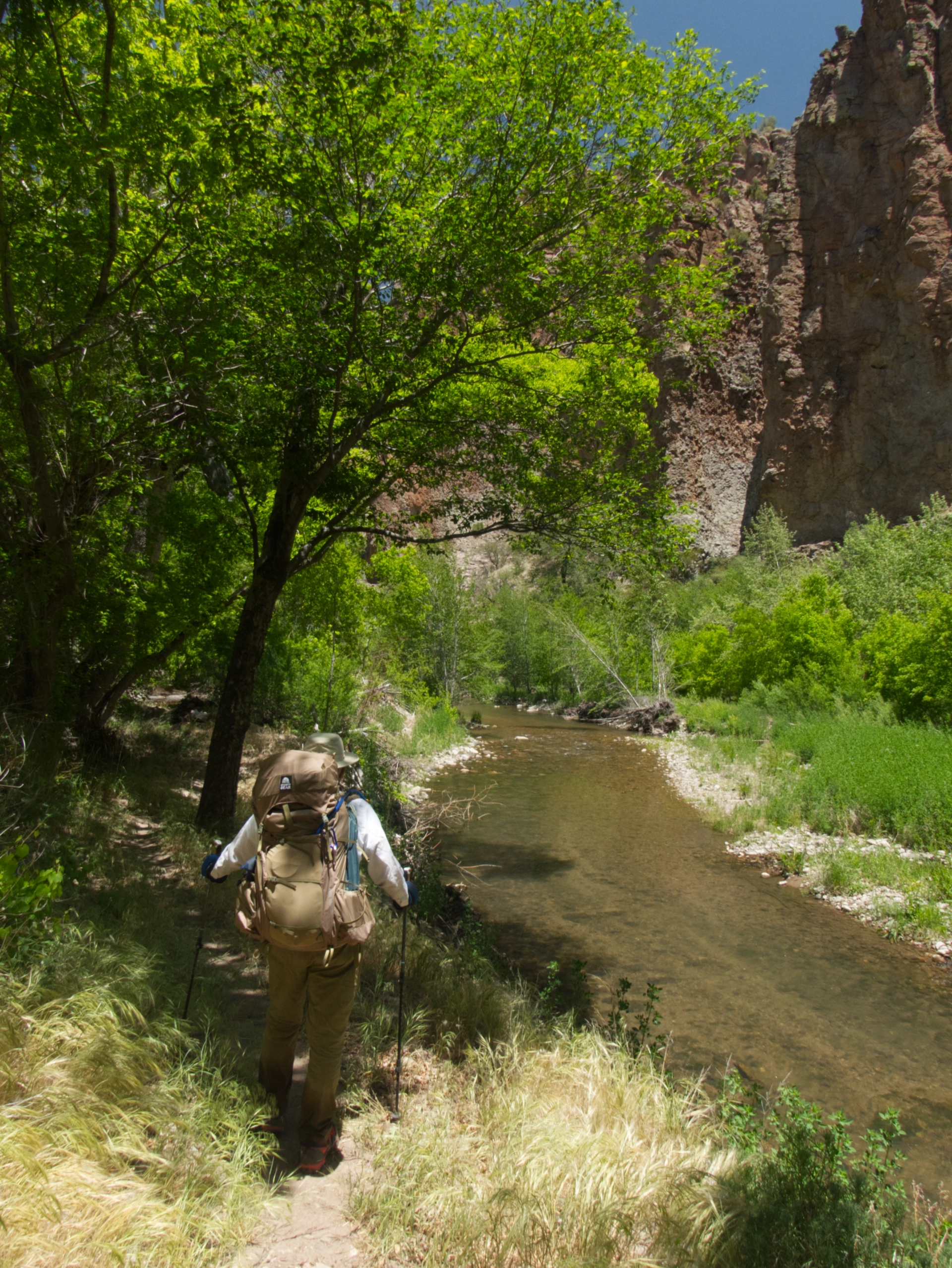 deciduous forest lining a broader canyon