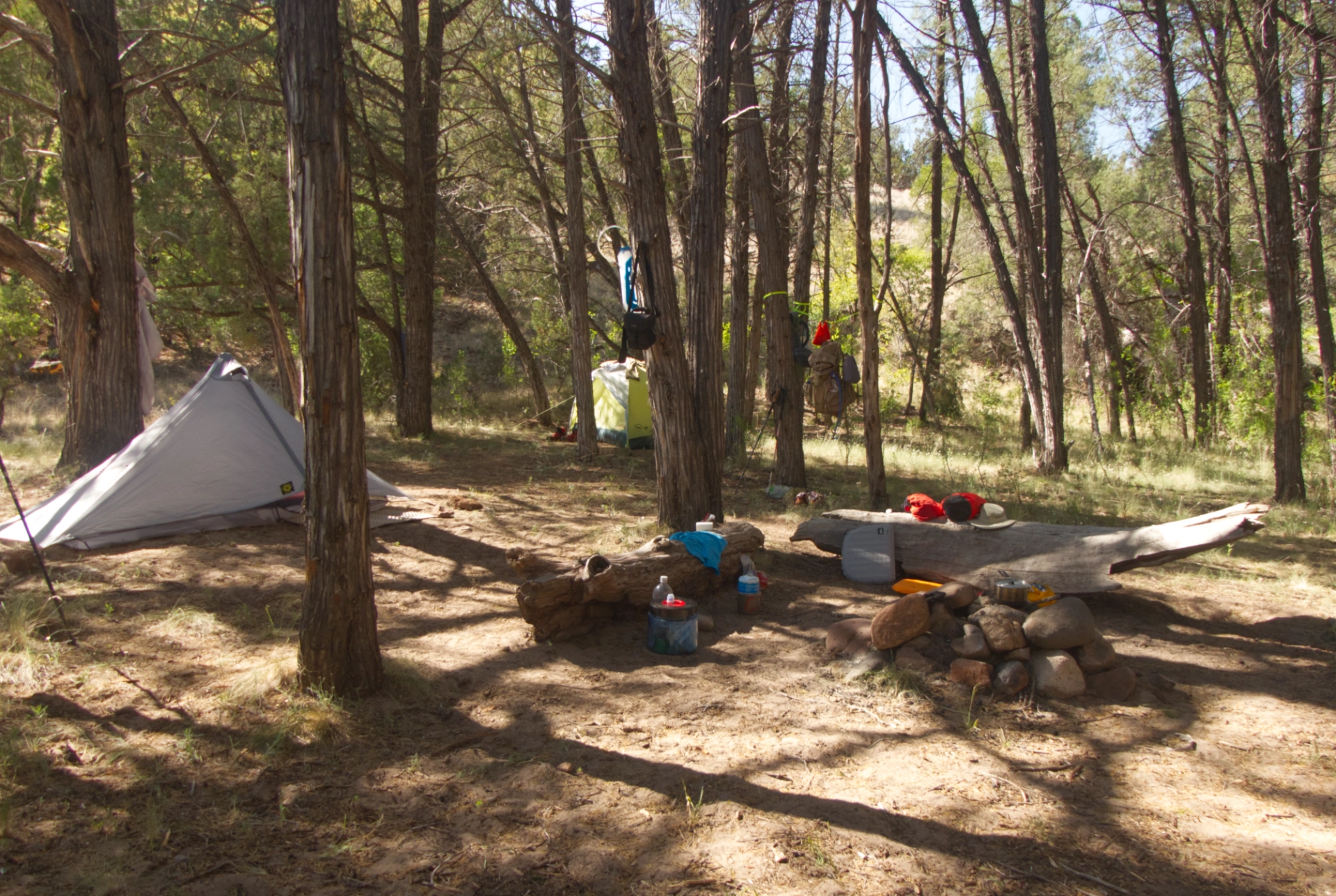 campsite in juniper forest