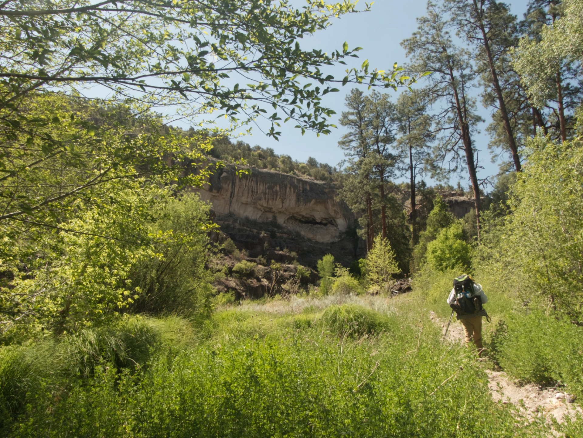 hiker in a meadow with a cliff dwelling in the distance