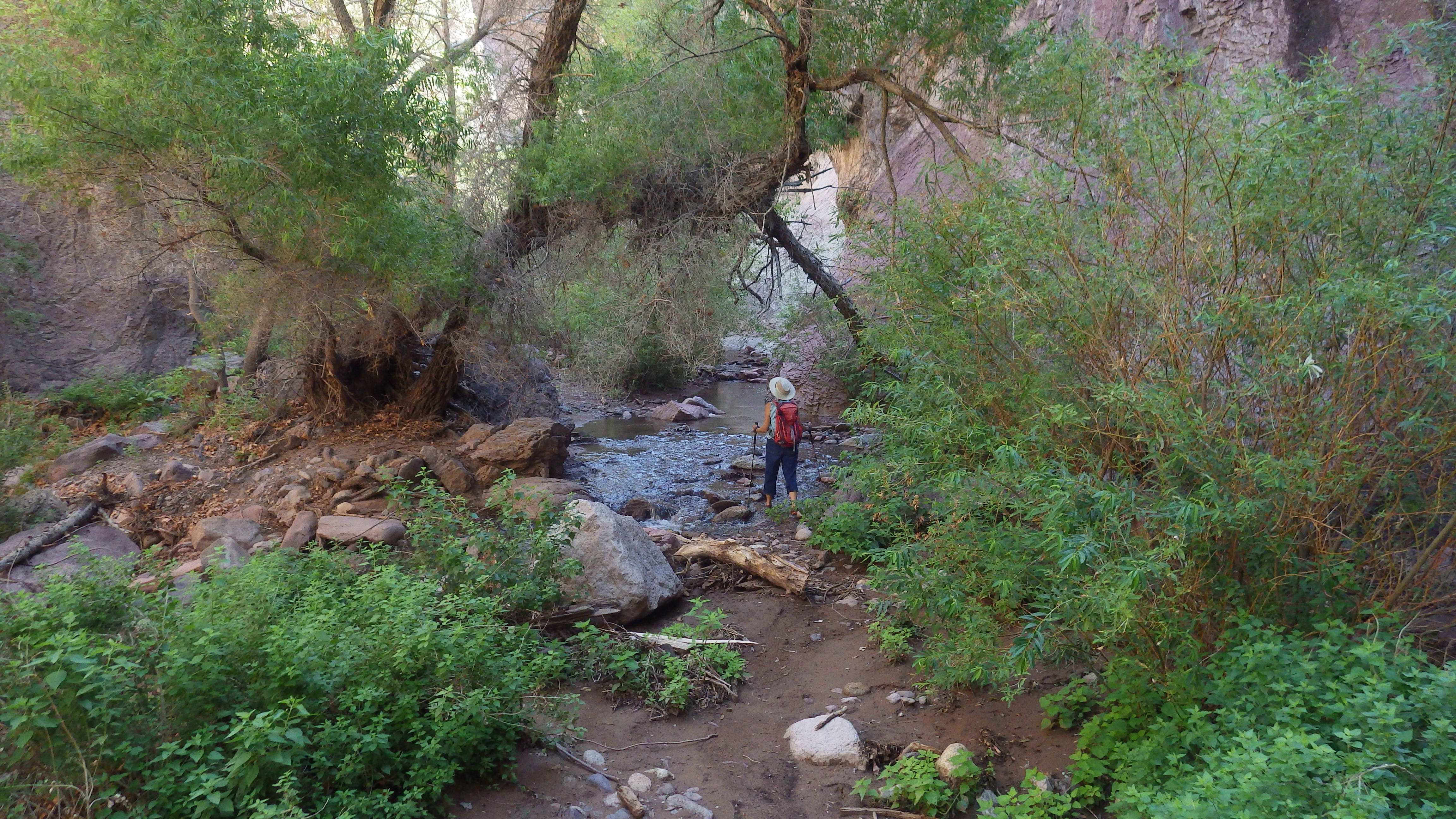 Marion in the bottom of a shady canyon