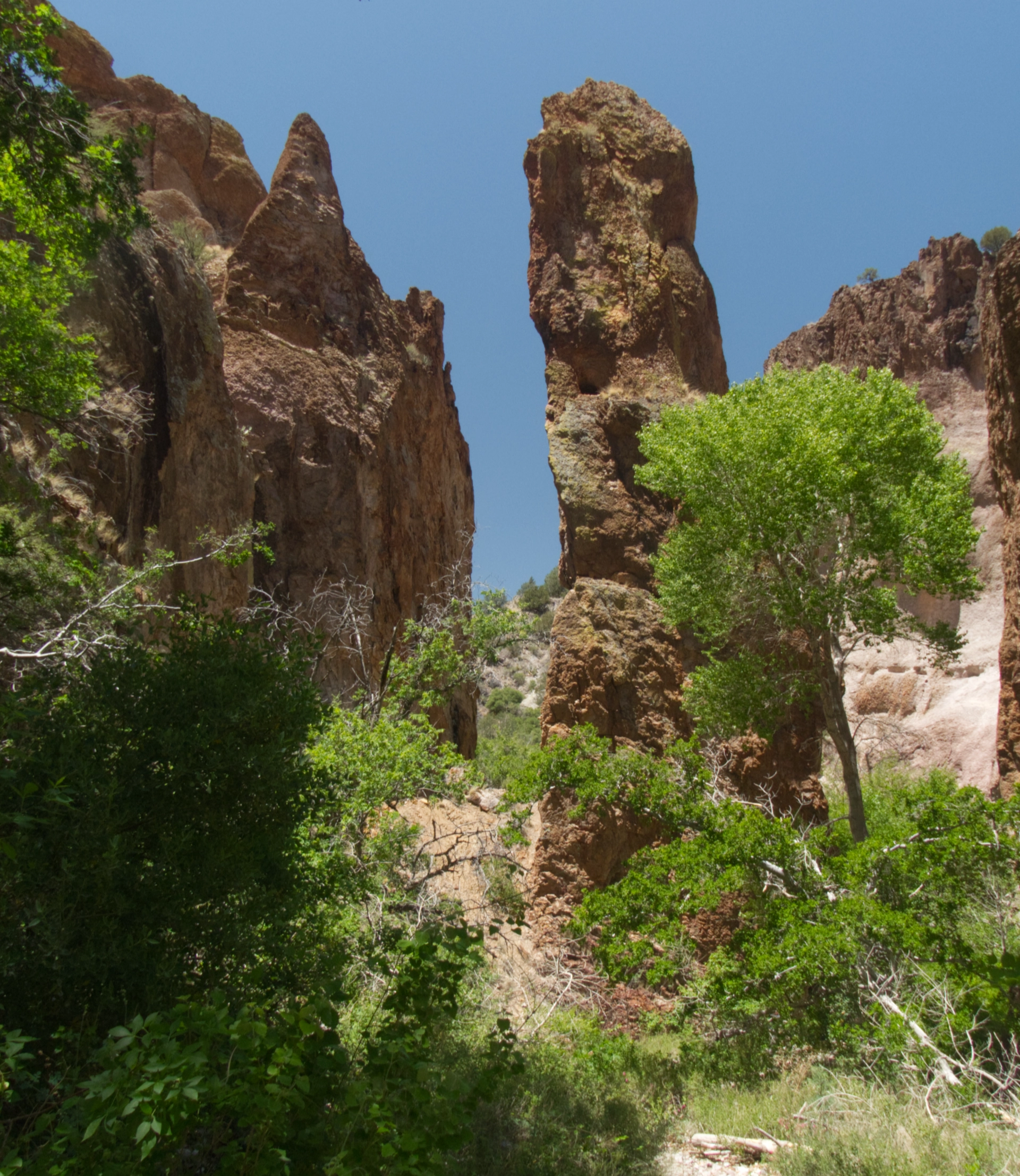 pinnacles near the mouth of the canyon