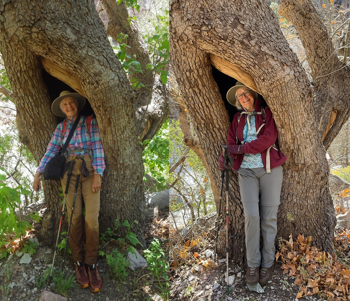 me inside a tree