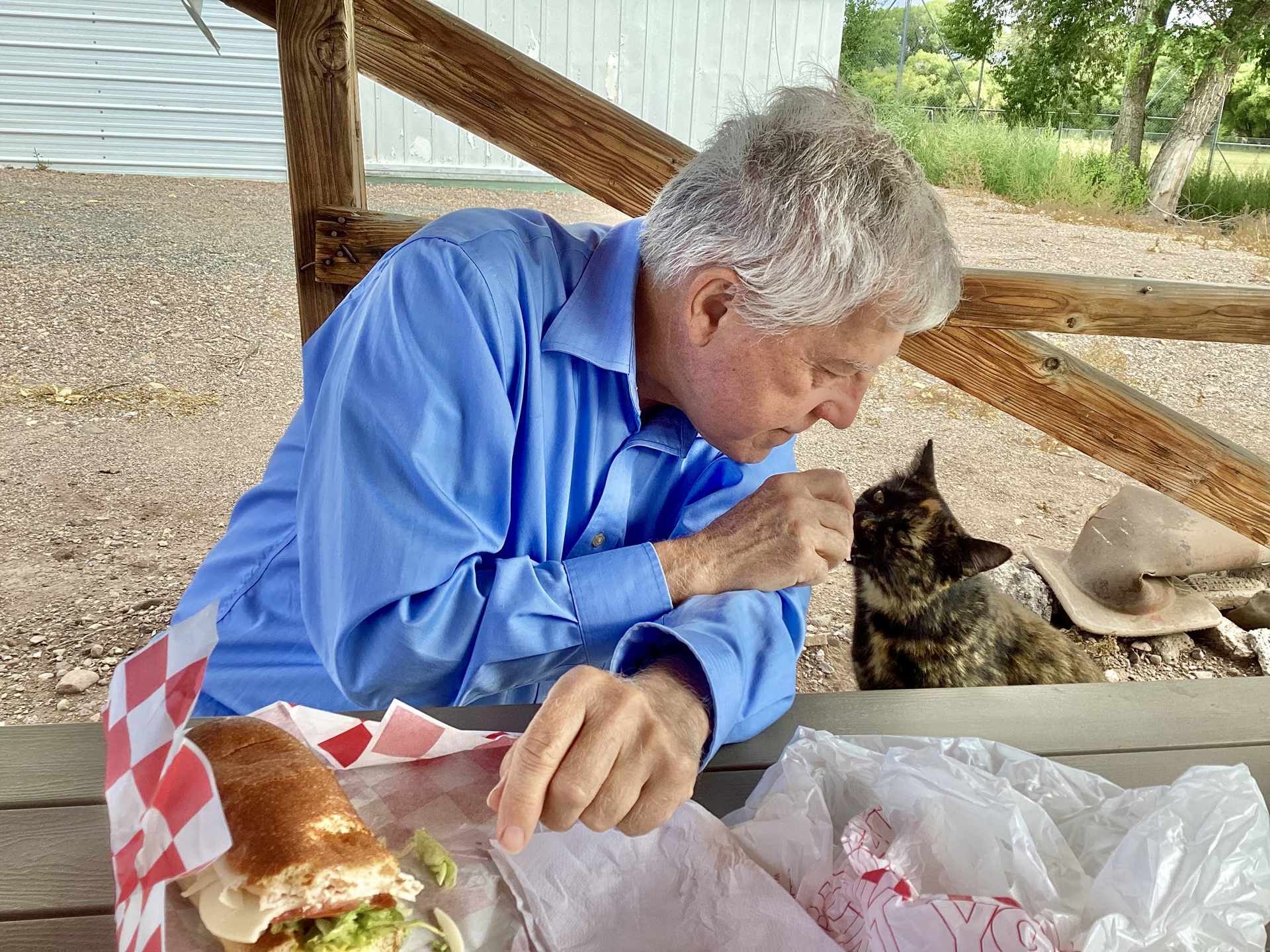 Dennis feeding a tortoiseshell cat