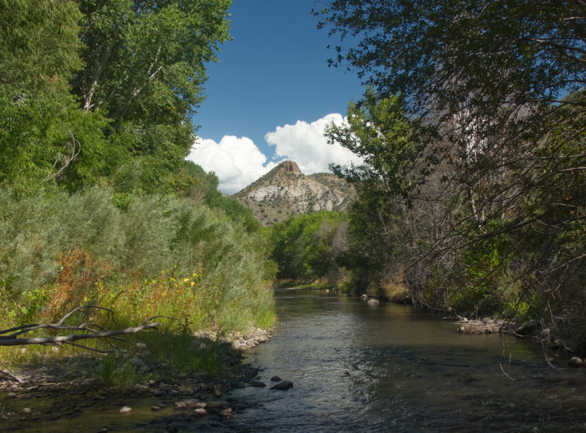 view downstream of Canyon Hill towering above the river