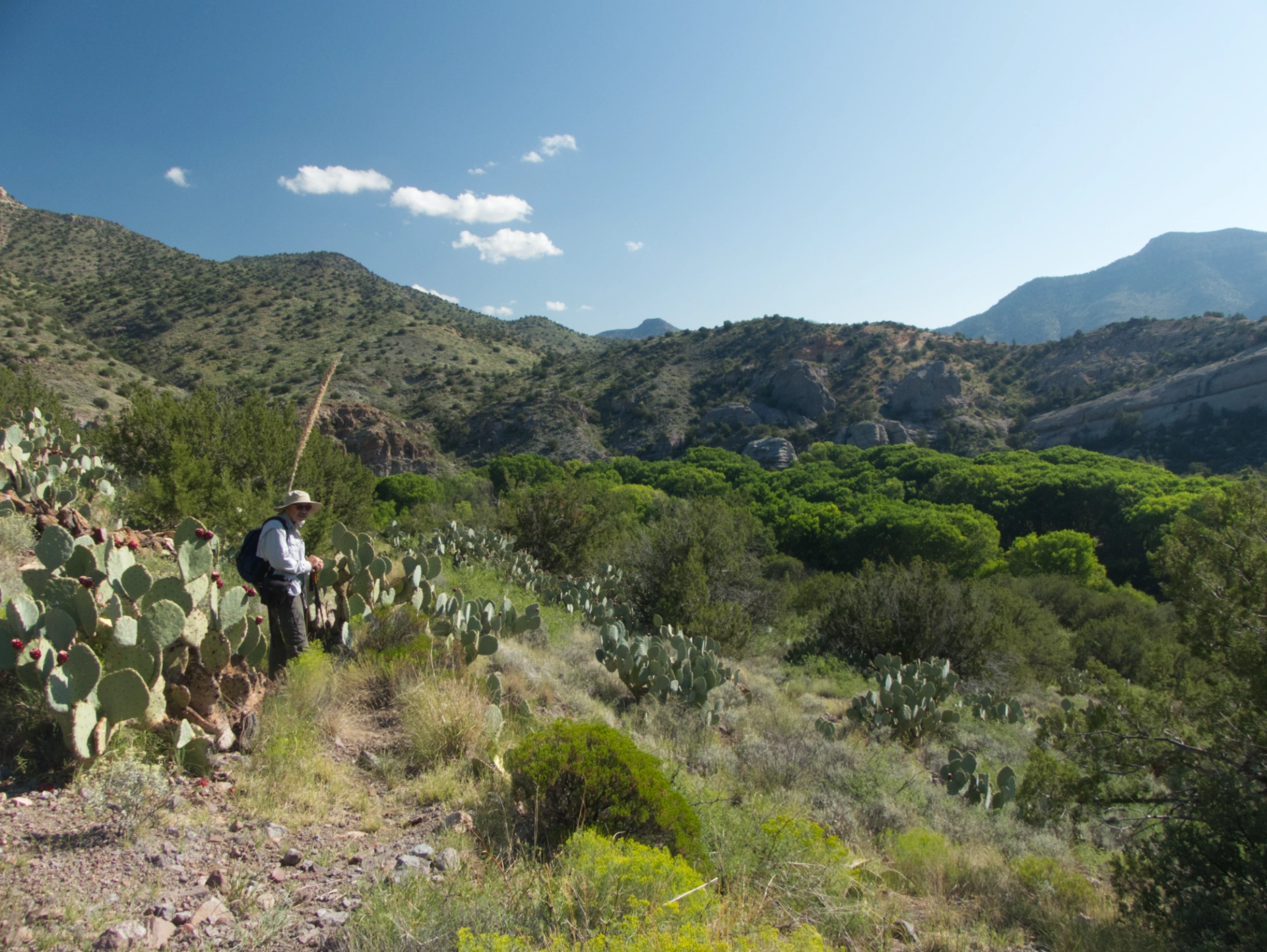 overlooking the Gila River Valley