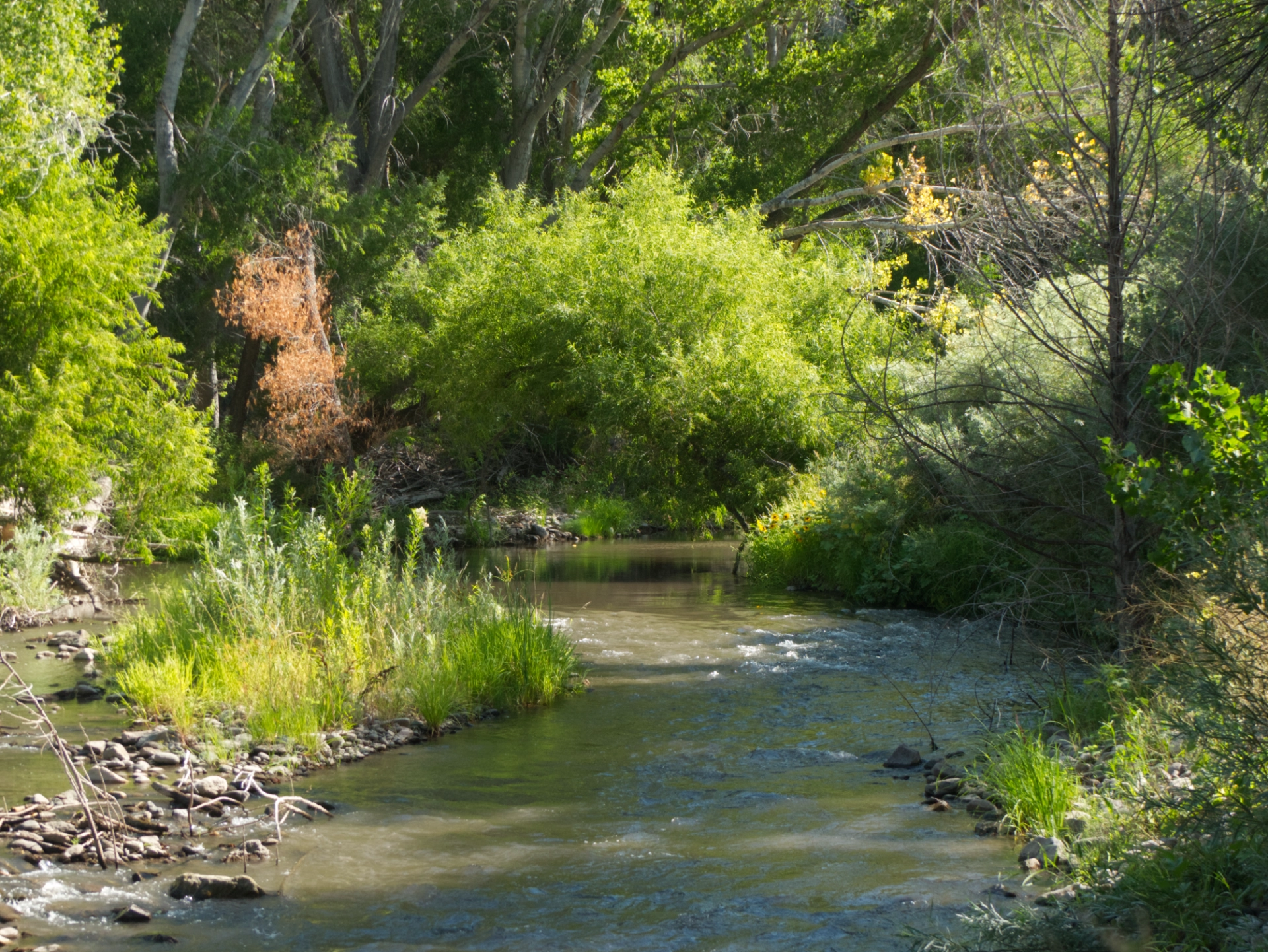 arrived at the Gila River