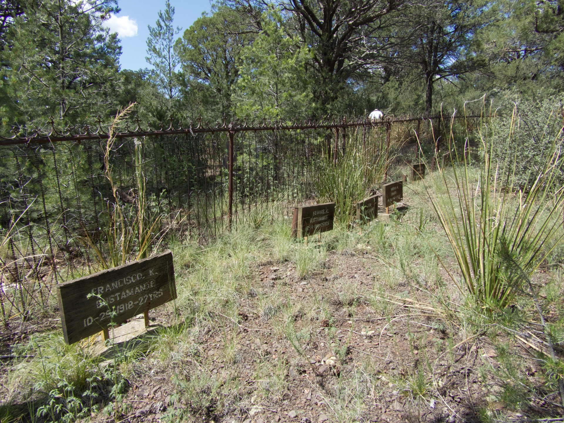 row of graves of victims of the 1918 pandemic