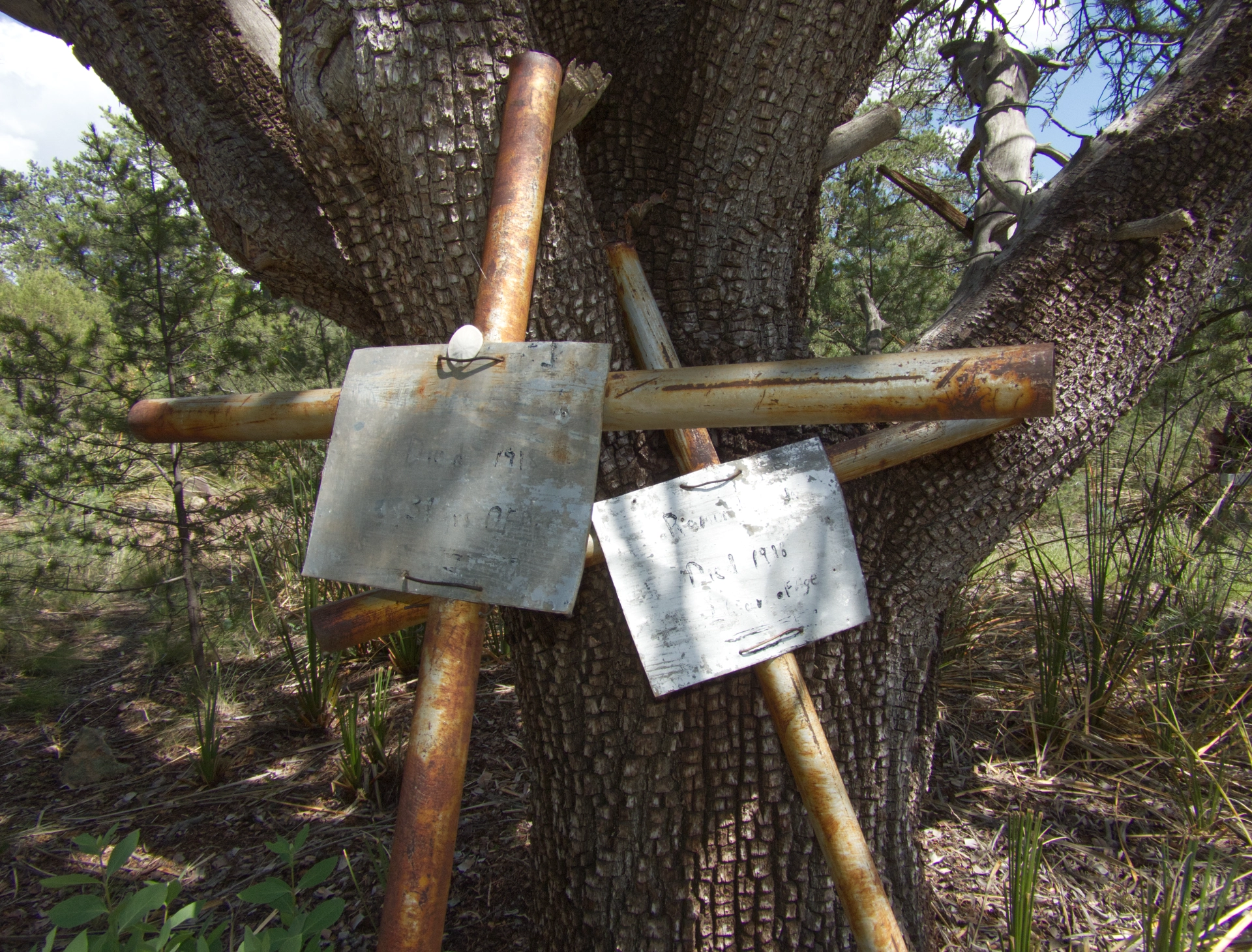 grave markers made of steel pipe and tin