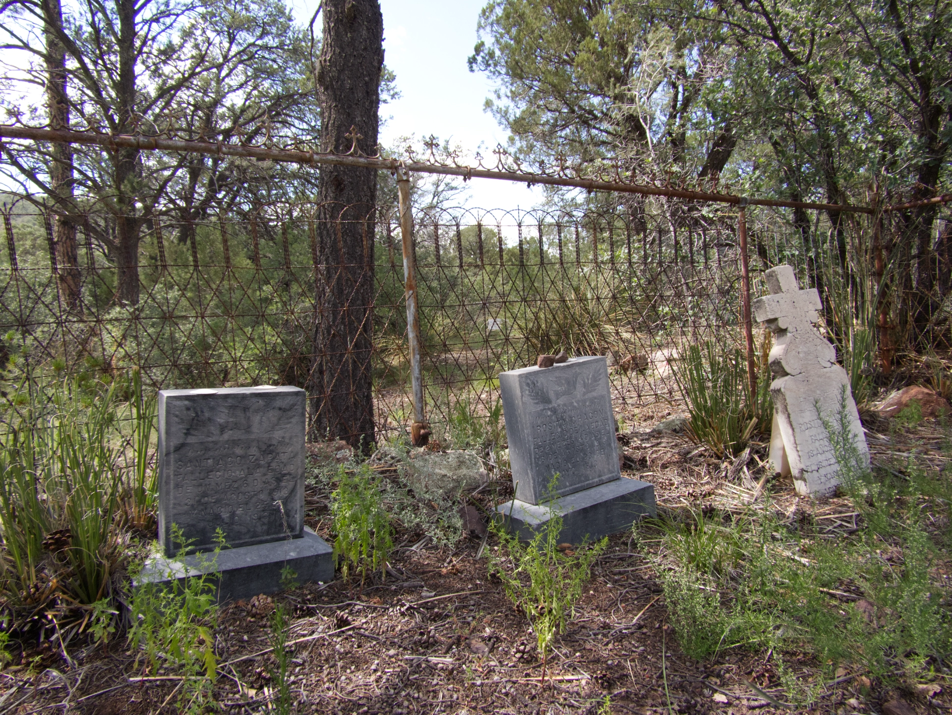 graves of three children from the same family