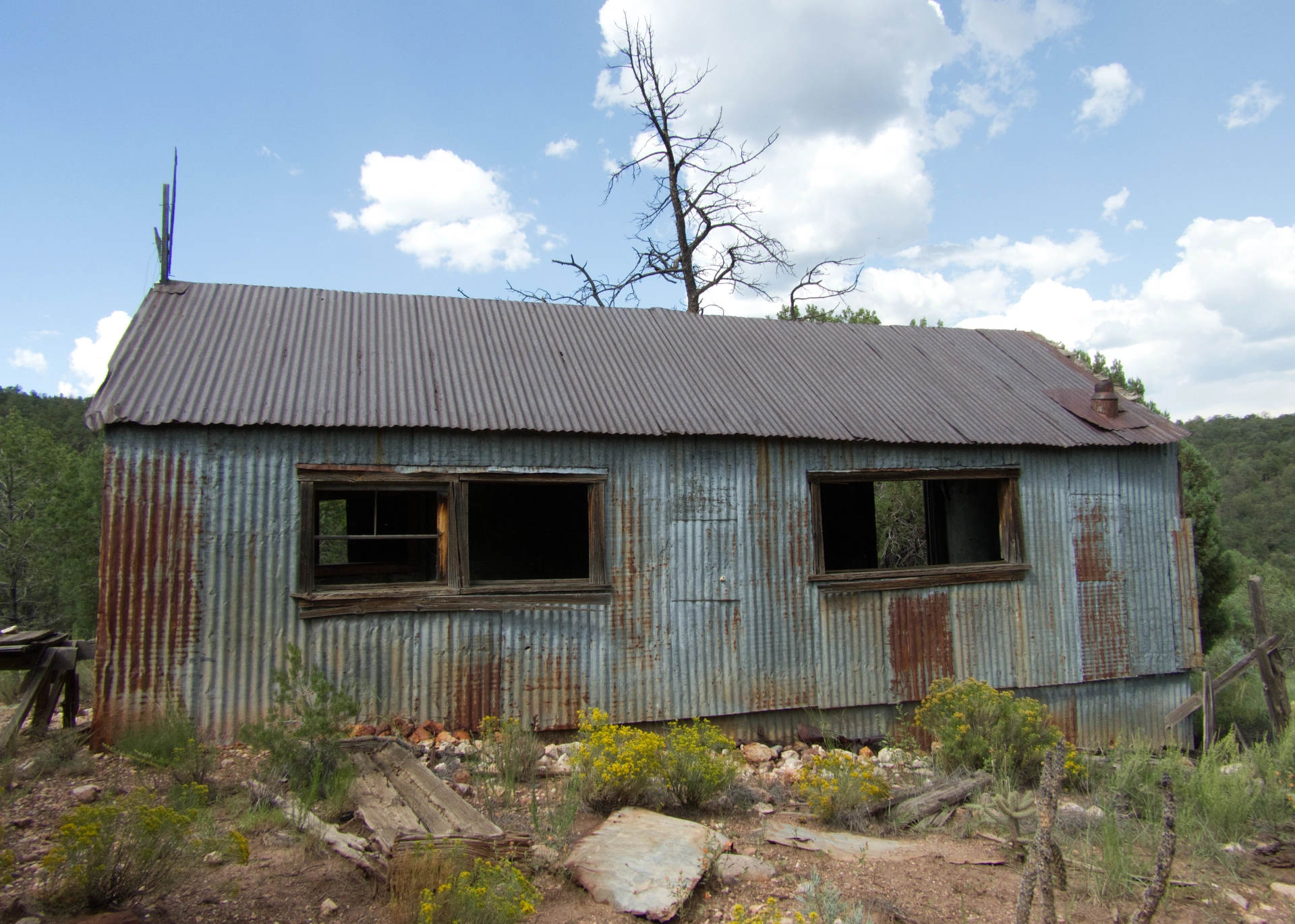 miner's cabin with corrugated siding