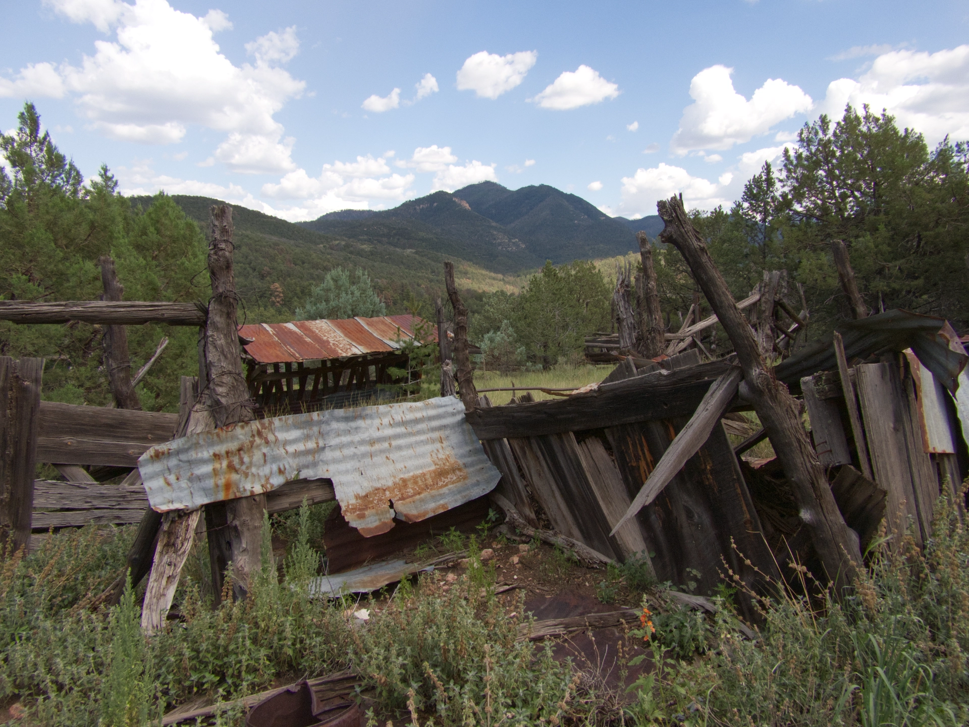 old cattle chute