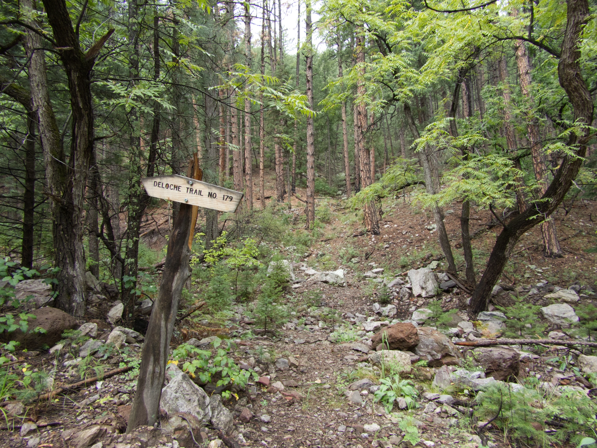 Deloche Trailhead sign