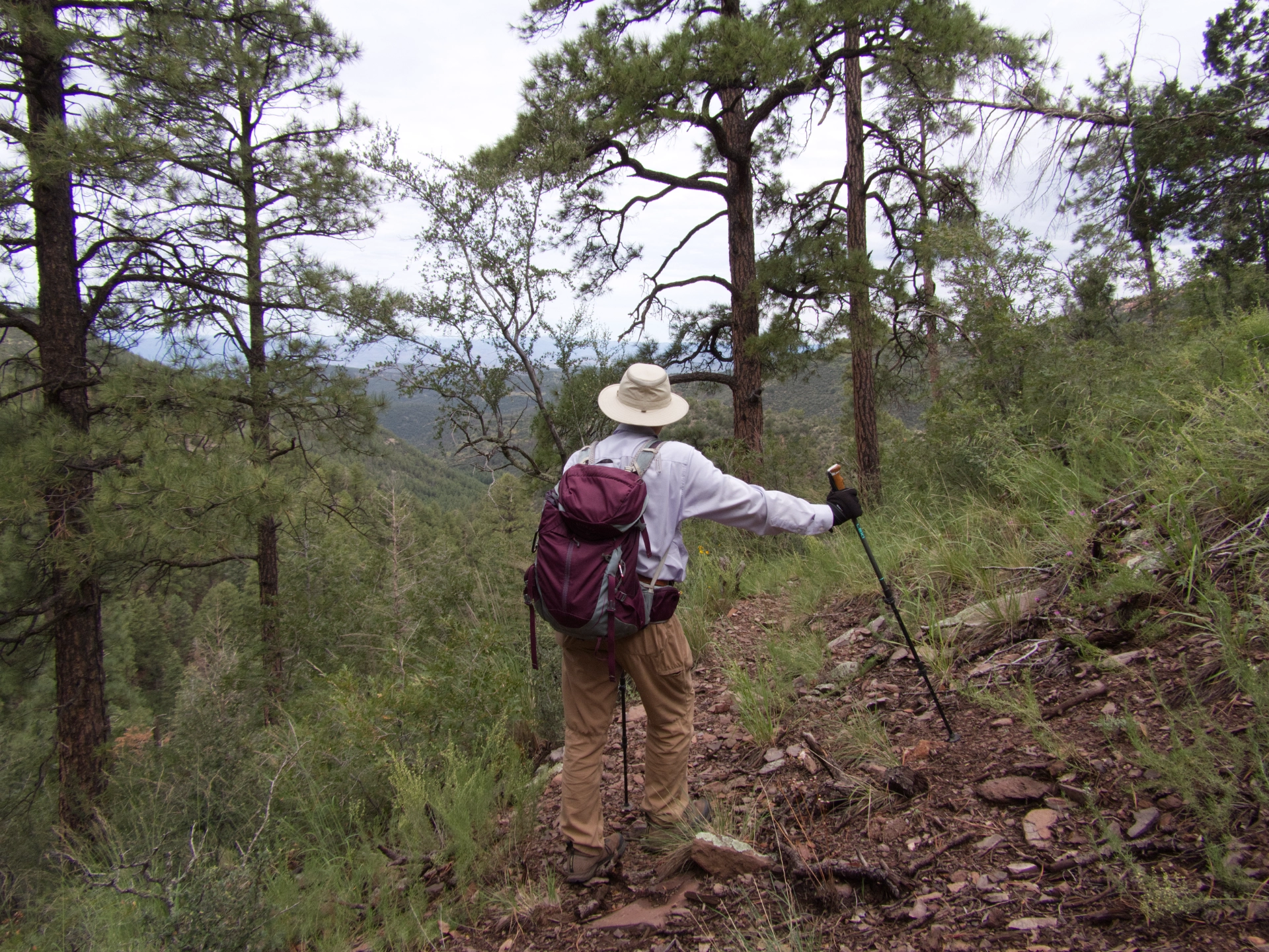 view from Deloche Trail