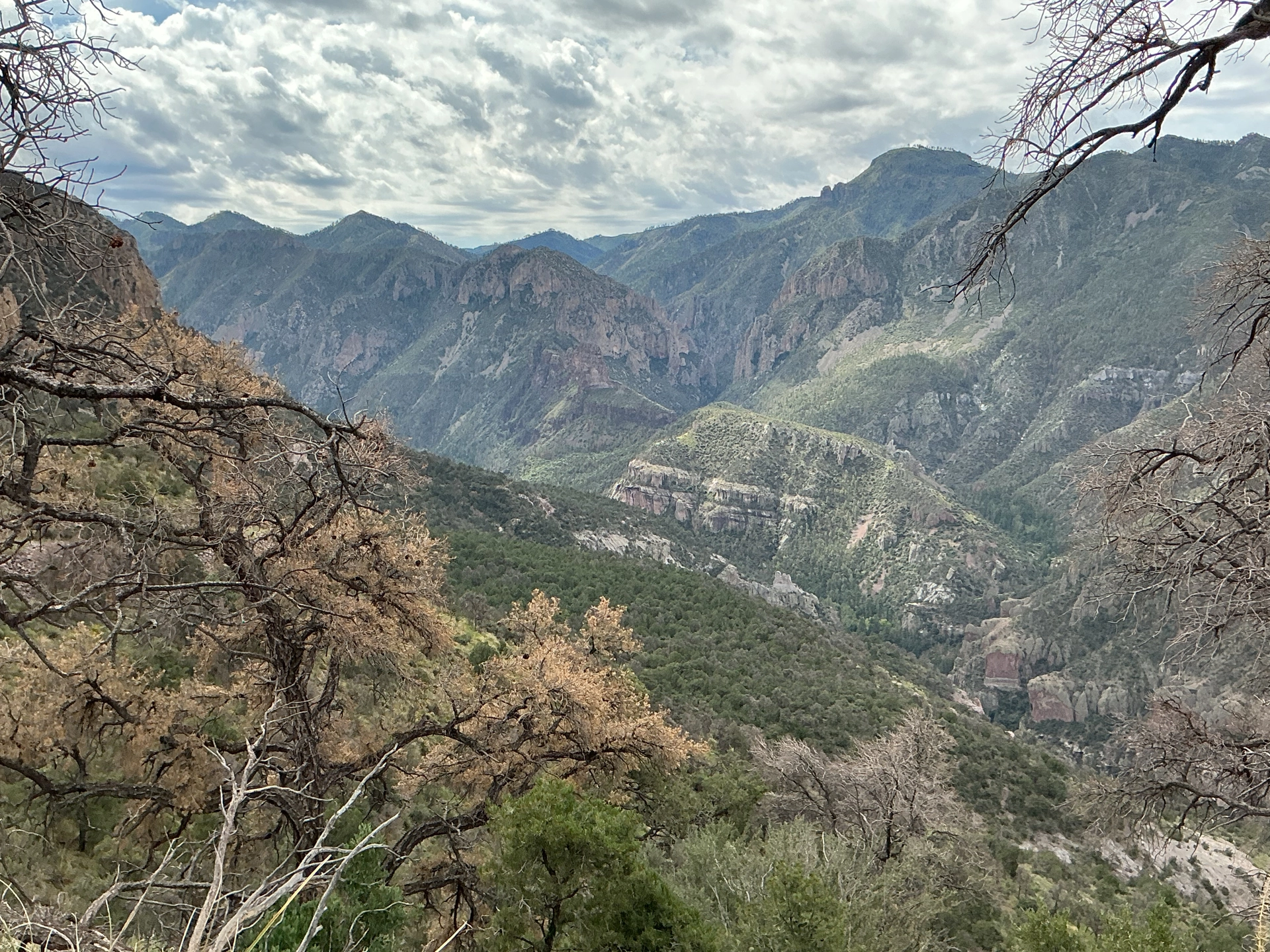 looking down into Whitewater Canyon