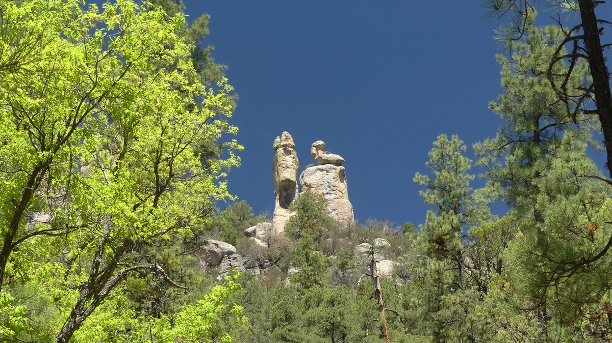duck rocks