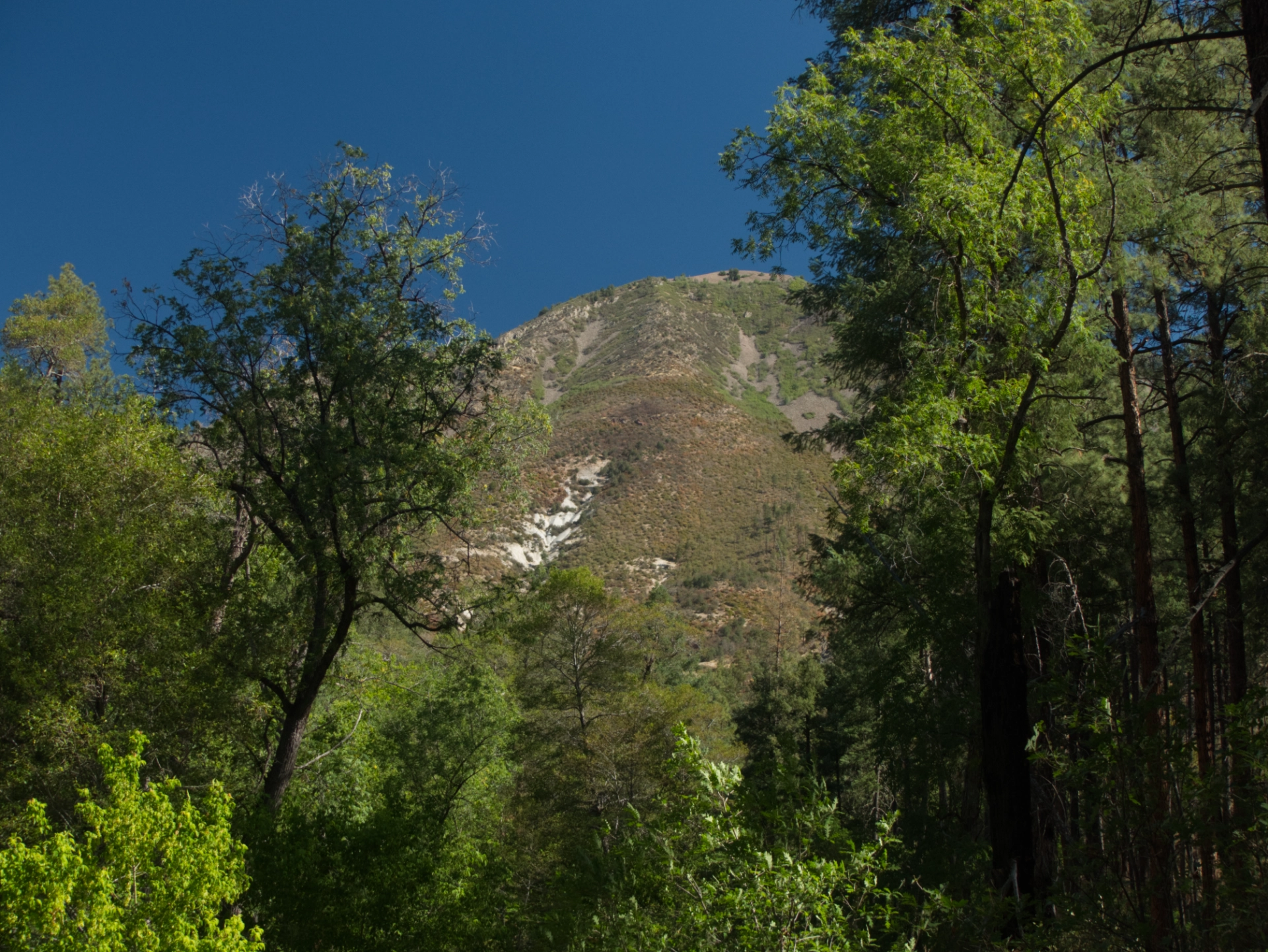 West Baldy