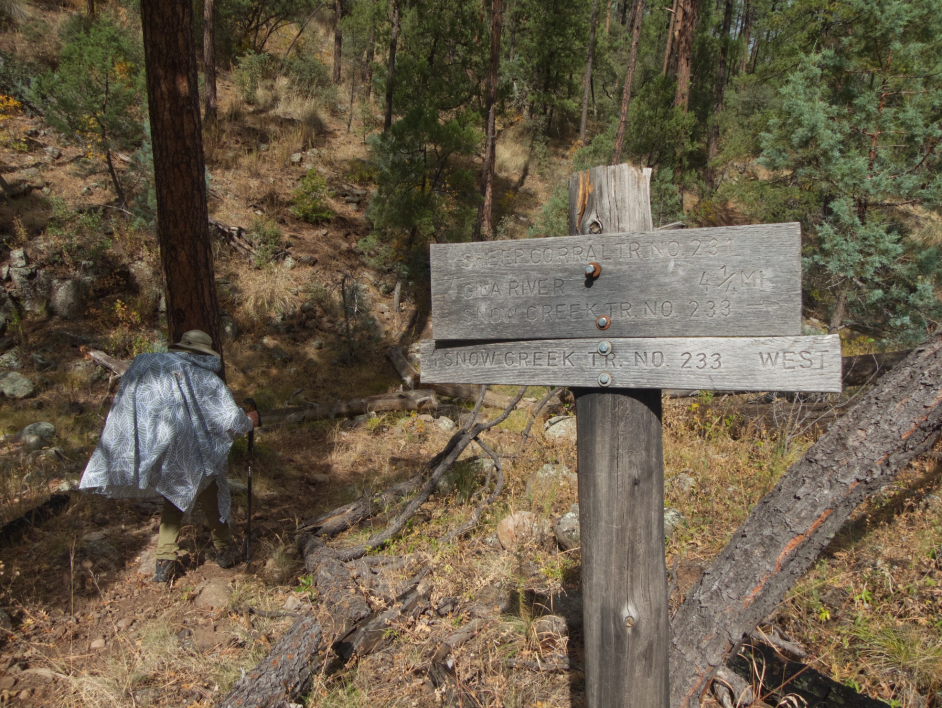 dappled sunlight on trail sign