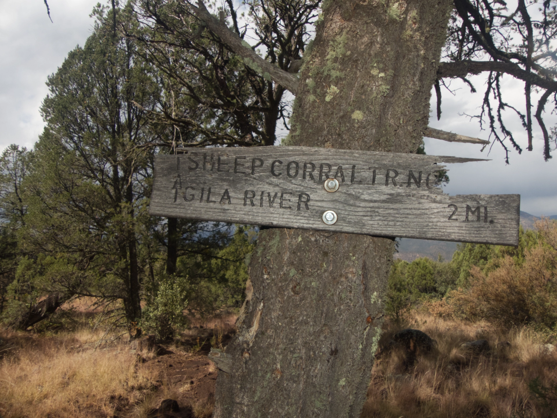 worn trail sign