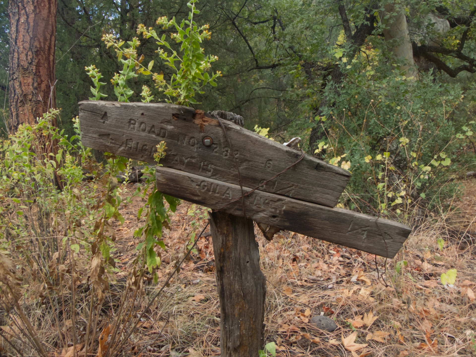 old trail sign held together with barbed wire