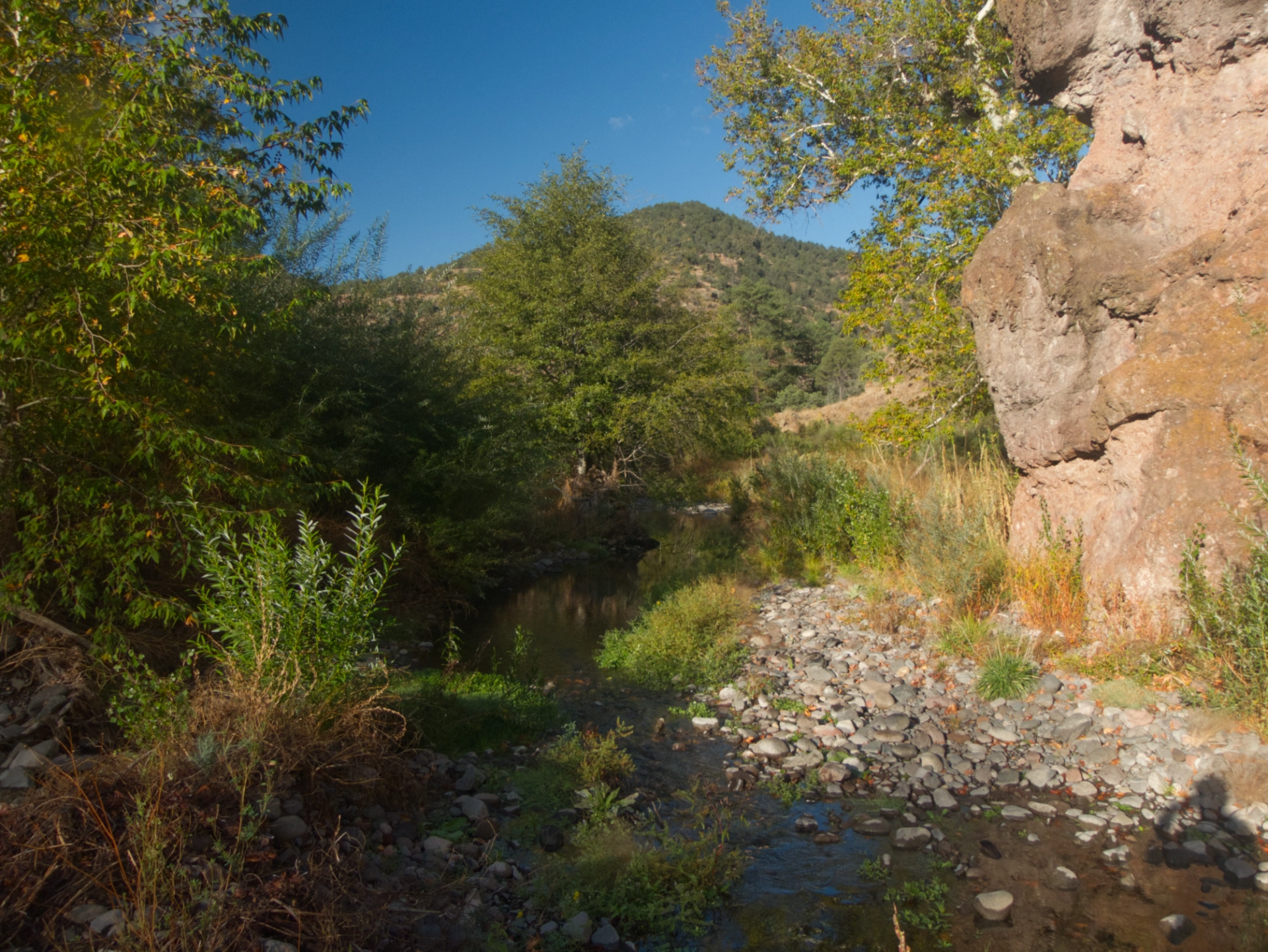 deep blue sky and creek with fall foliage